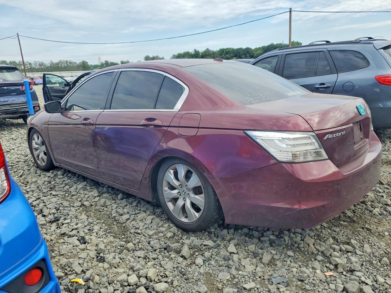 2009 Honda Accord Exl Maroon vin: 1HGCP26829A073865