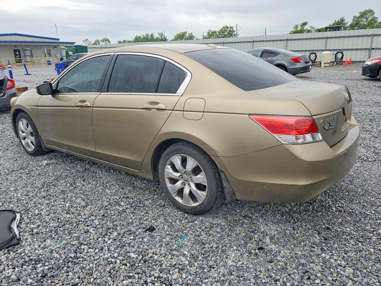 2009 Honda Accord Exl Beige vin: 1HGCP26829A086485
