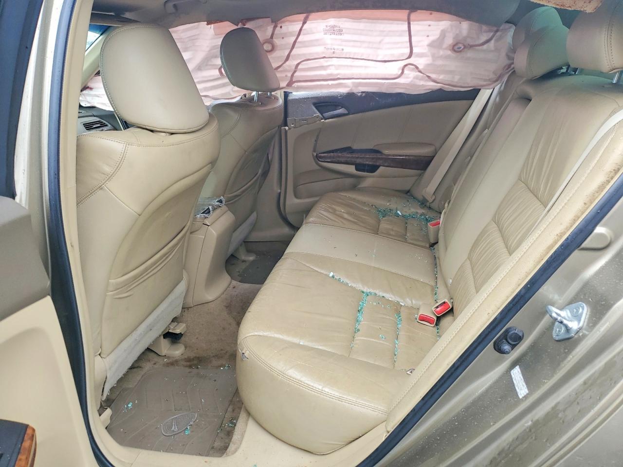 2009 Honda Accord Exl Beige vin: 1HGCP26829A086485