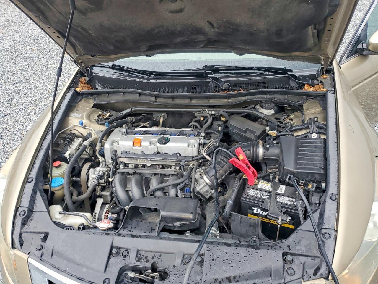 2009 Honda Accord Exl Beige vin: 1HGCP26829A086485