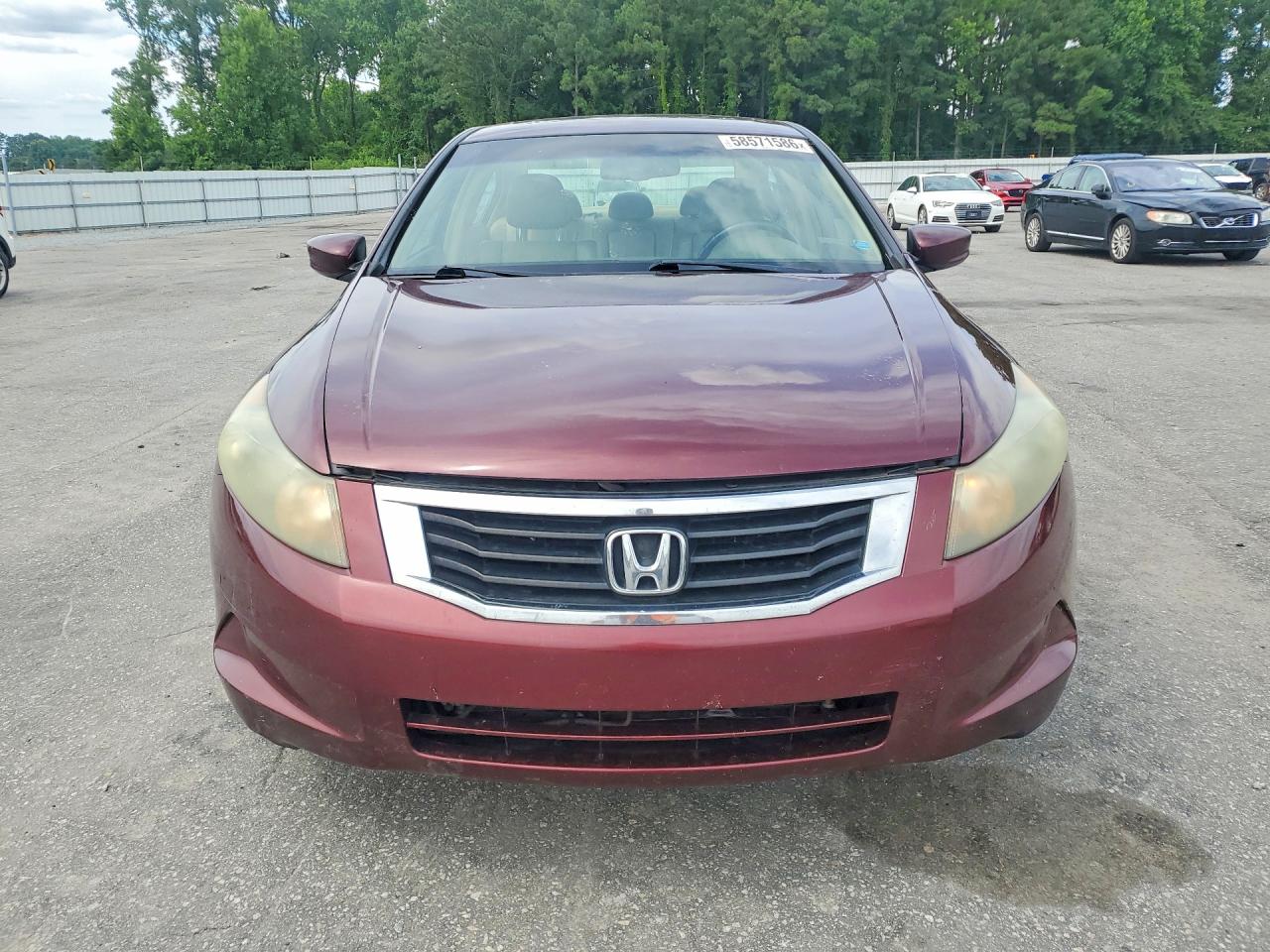 2009 Honda Accord Exl Бордовый vin: 1HGCP26829A088690