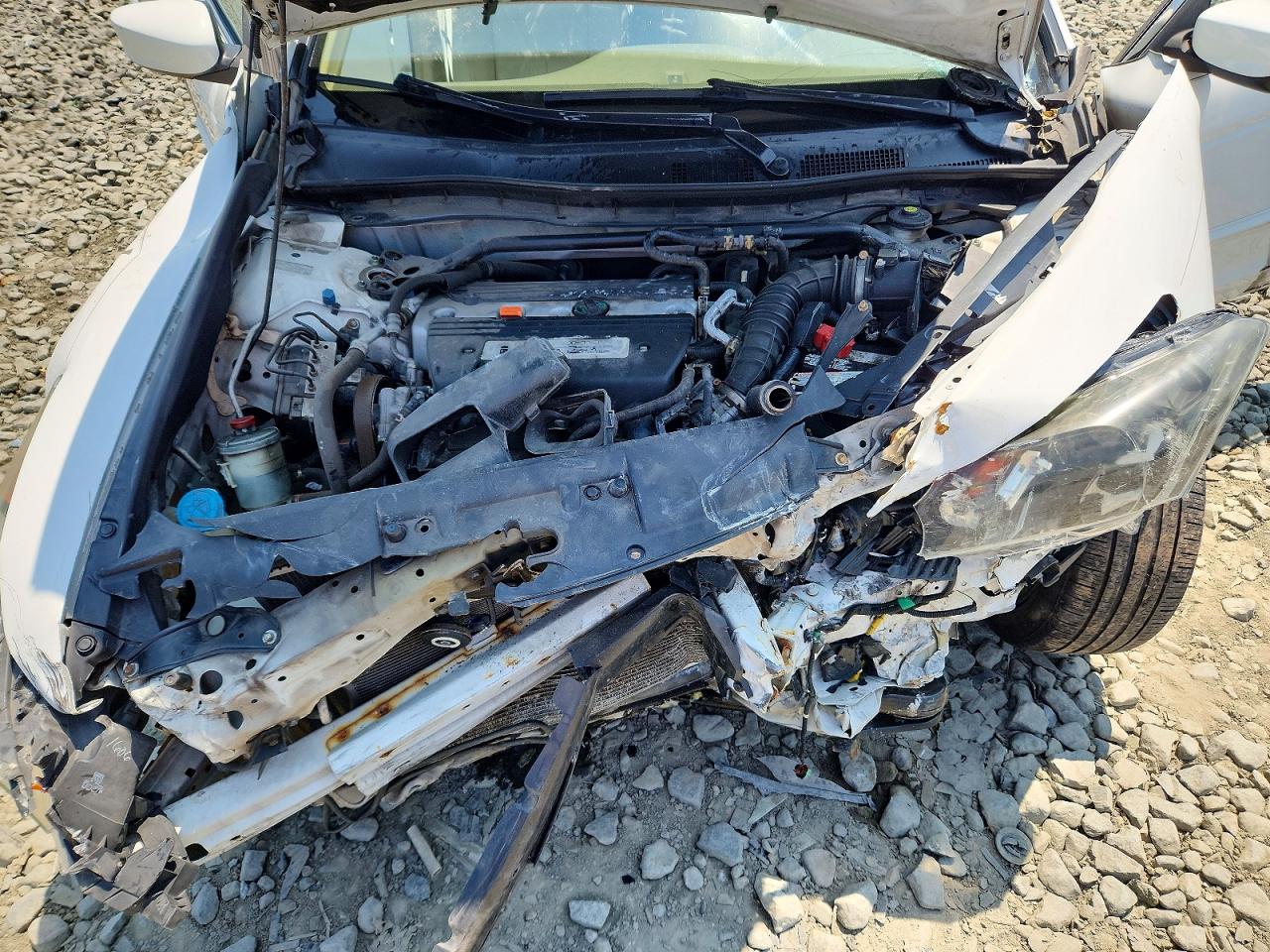 2009 Honda Accord Exl White vin: 1HGCP26829A145972