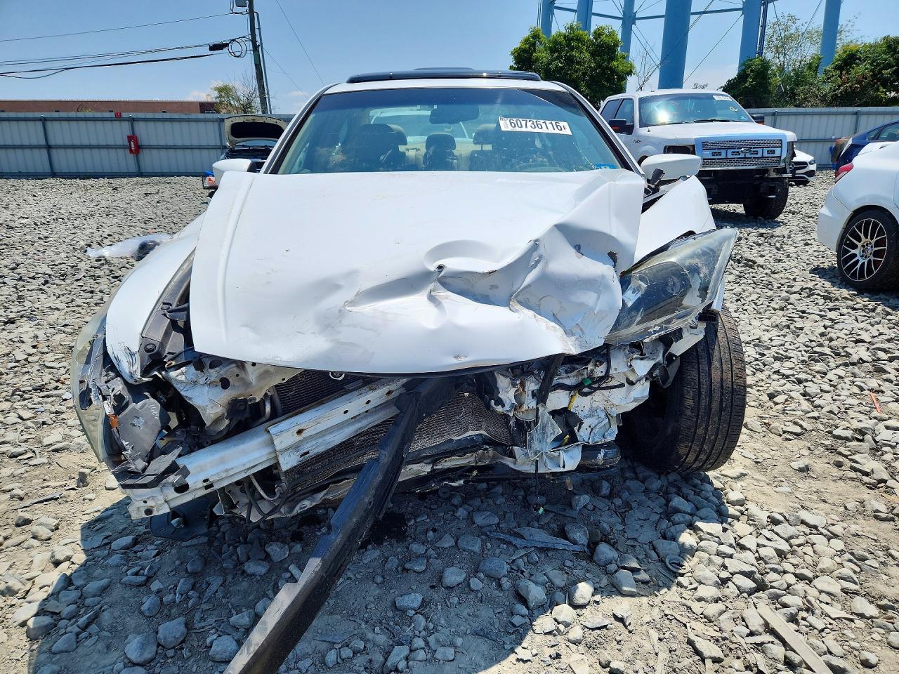2009 Honda Accord Exl White vin: 1HGCP26829A145972