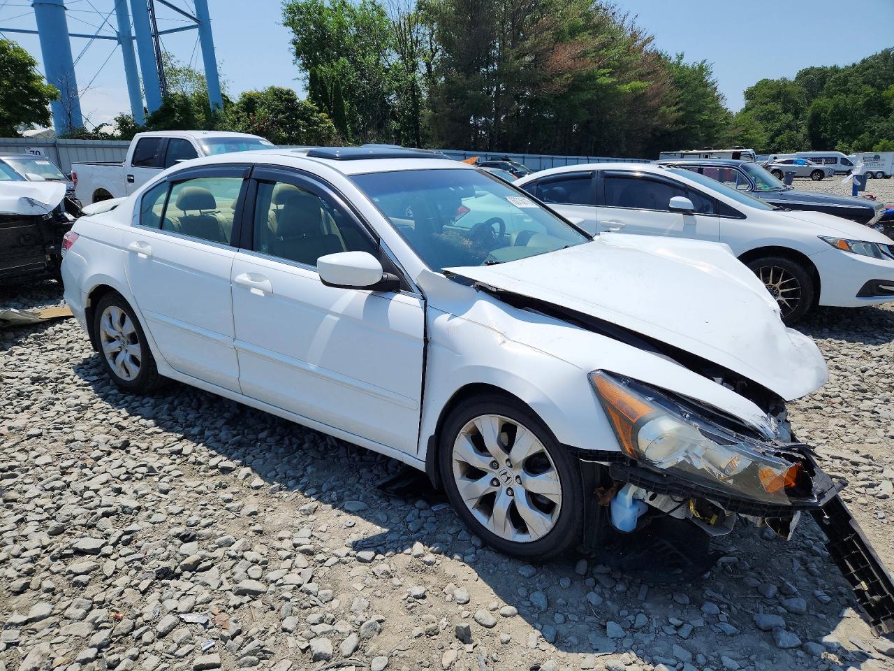 2009 Honda Accord Exl White vin: 1HGCP26829A145972