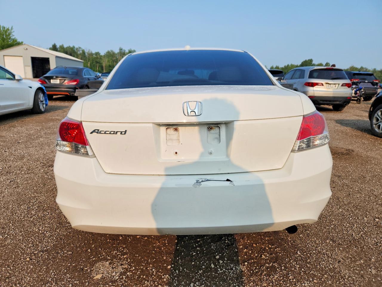 2009 Honda Accord Exl White vin: 1HGCP26829A806500