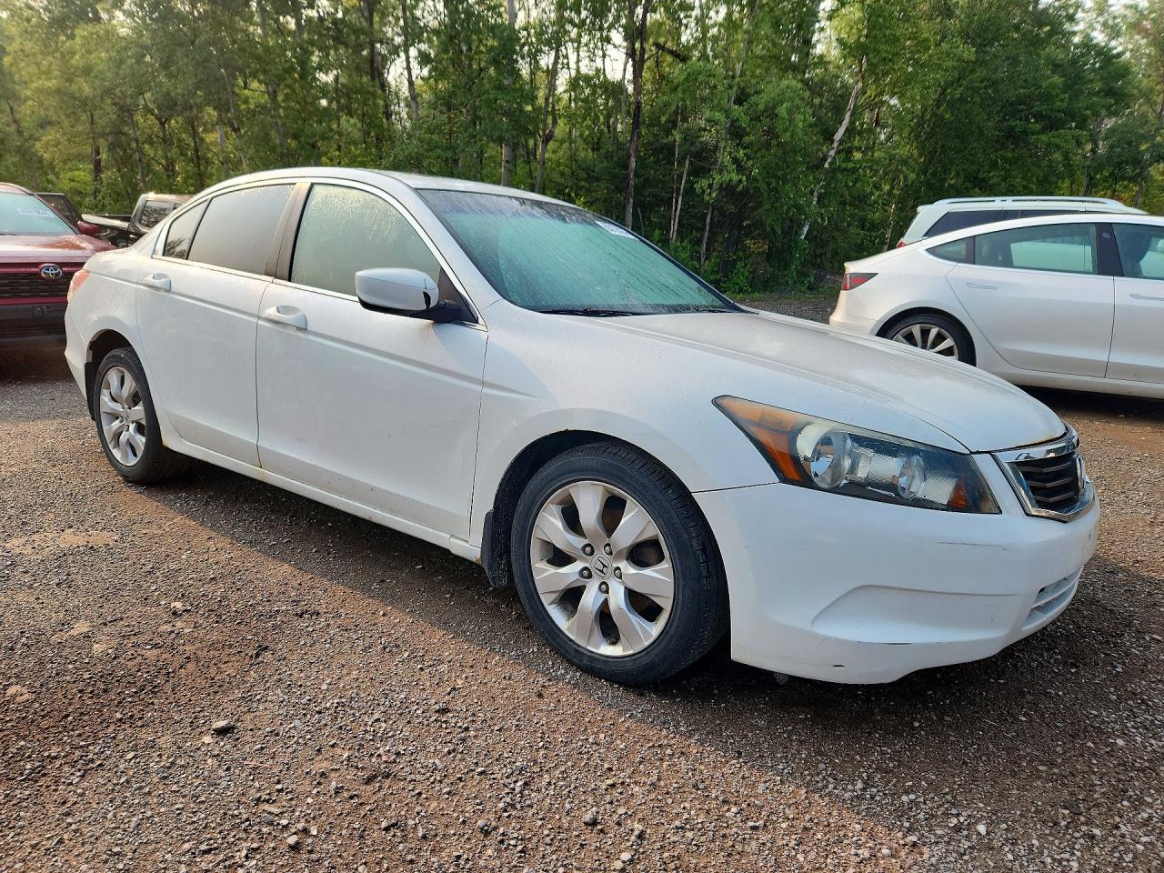 2009 Honda Accord Exl White vin: 1HGCP26829A806500