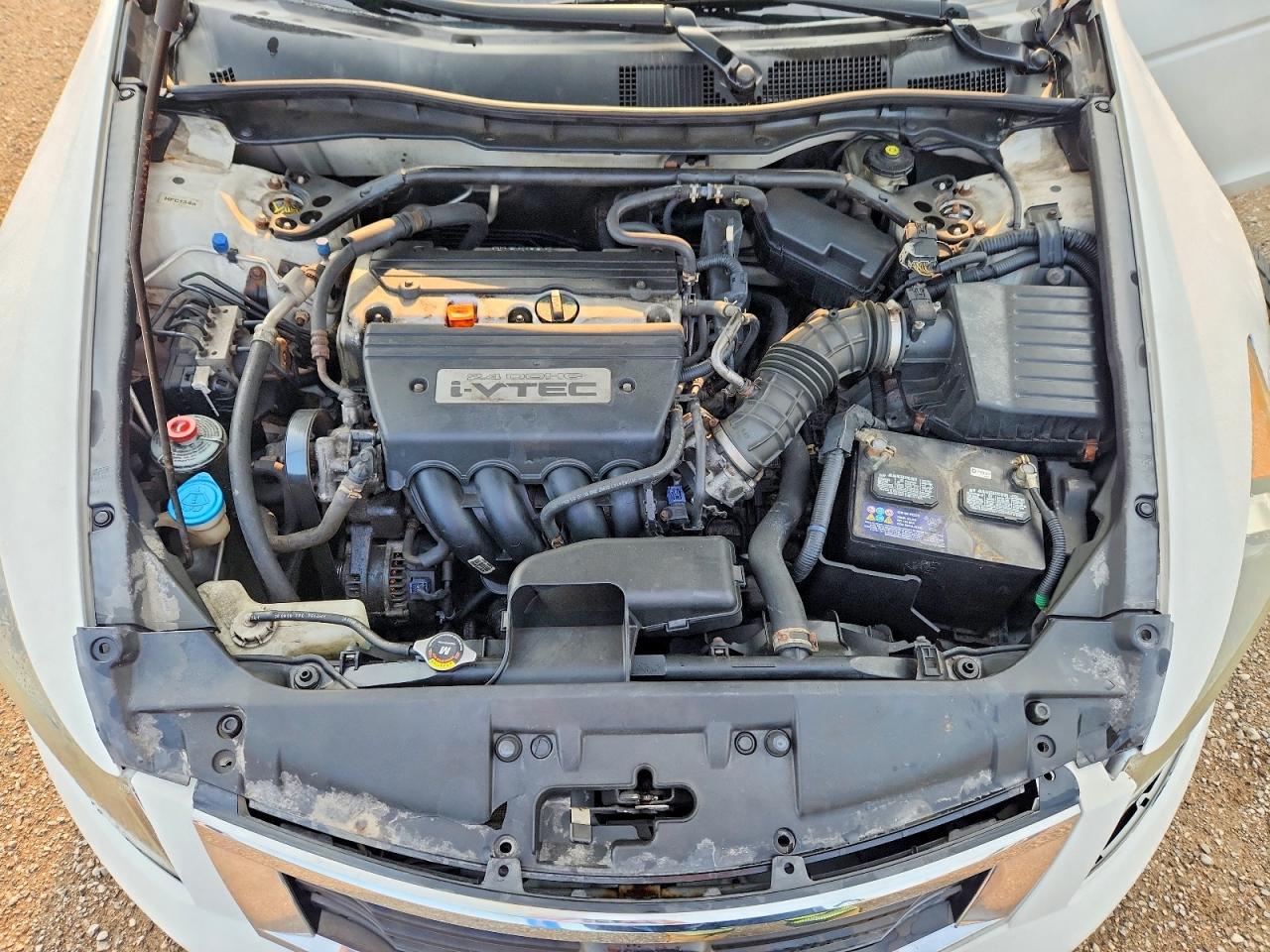 2009 Honda Accord Exl White vin: 1HGCP26829A806500