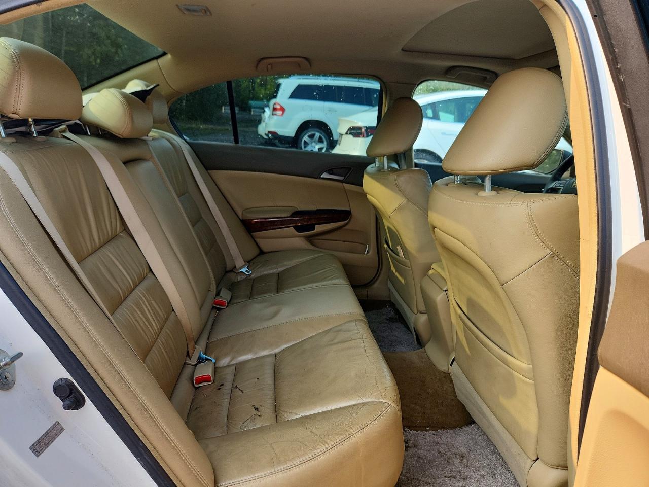 2009 Honda Accord Exl White vin: 1HGCP26829A806500