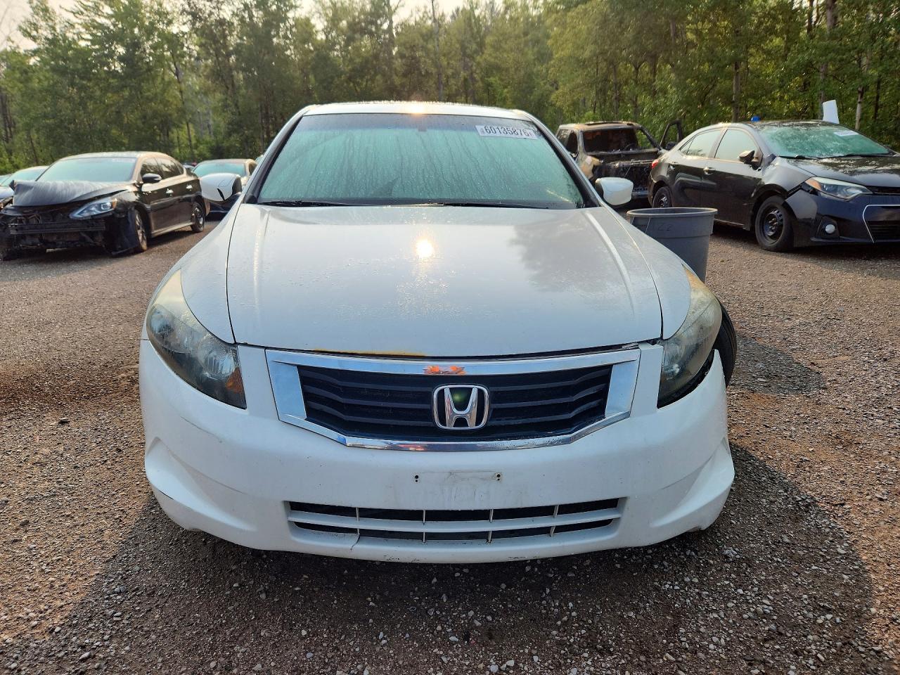 2009 Honda Accord Exl White vin: 1HGCP26829A806500
