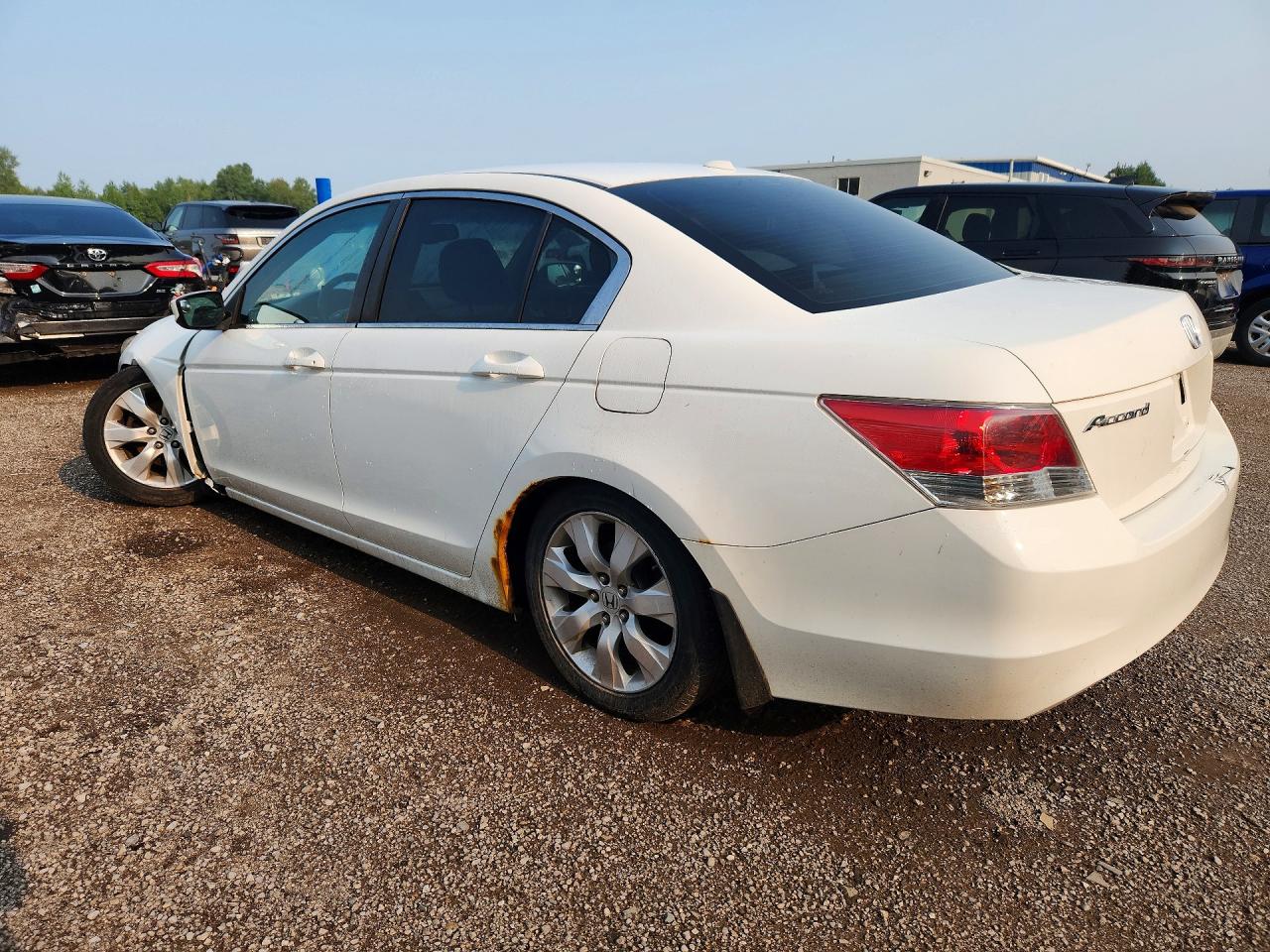 2009 Honda Accord Exl White vin: 1HGCP26829A806500