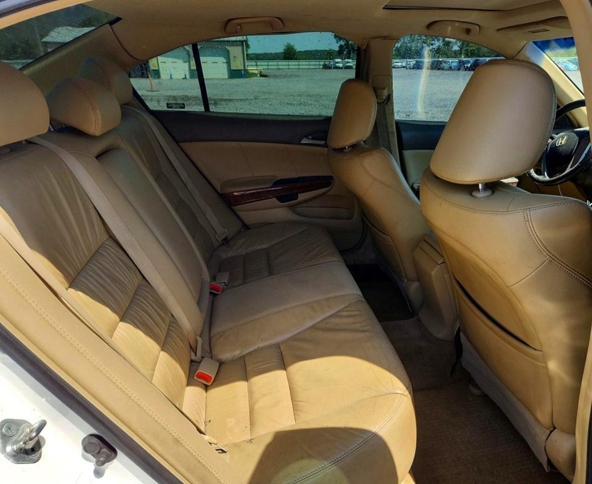 2009 Honda Accord Exl White vin: 1HGCP26839A056427