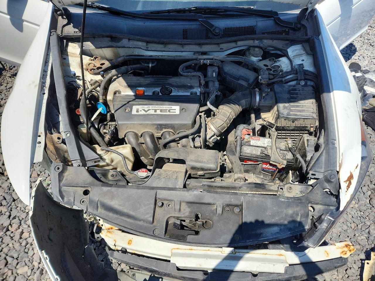 2009 Honda Accord Exl White vin: 1HGCP26839A056427