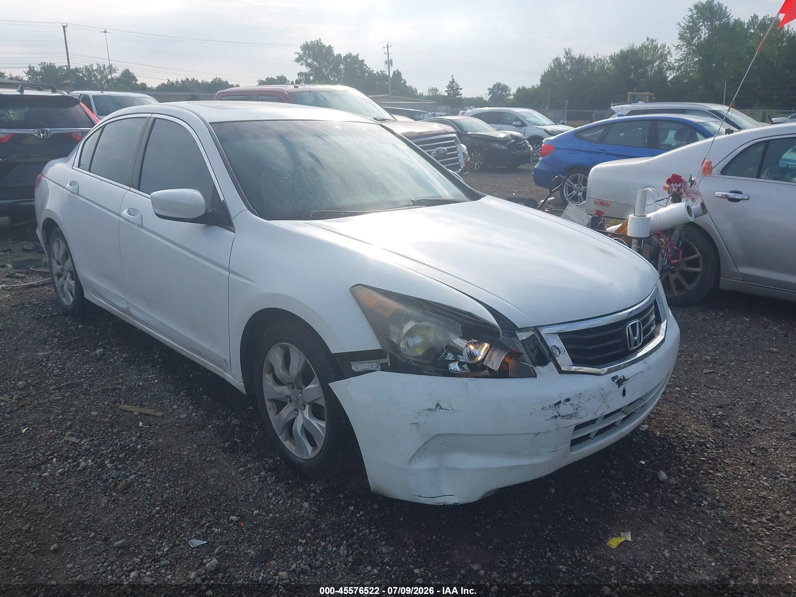 2009 Honda Accord 2.4 Ex-l White vin: 1HGCP26839A117677