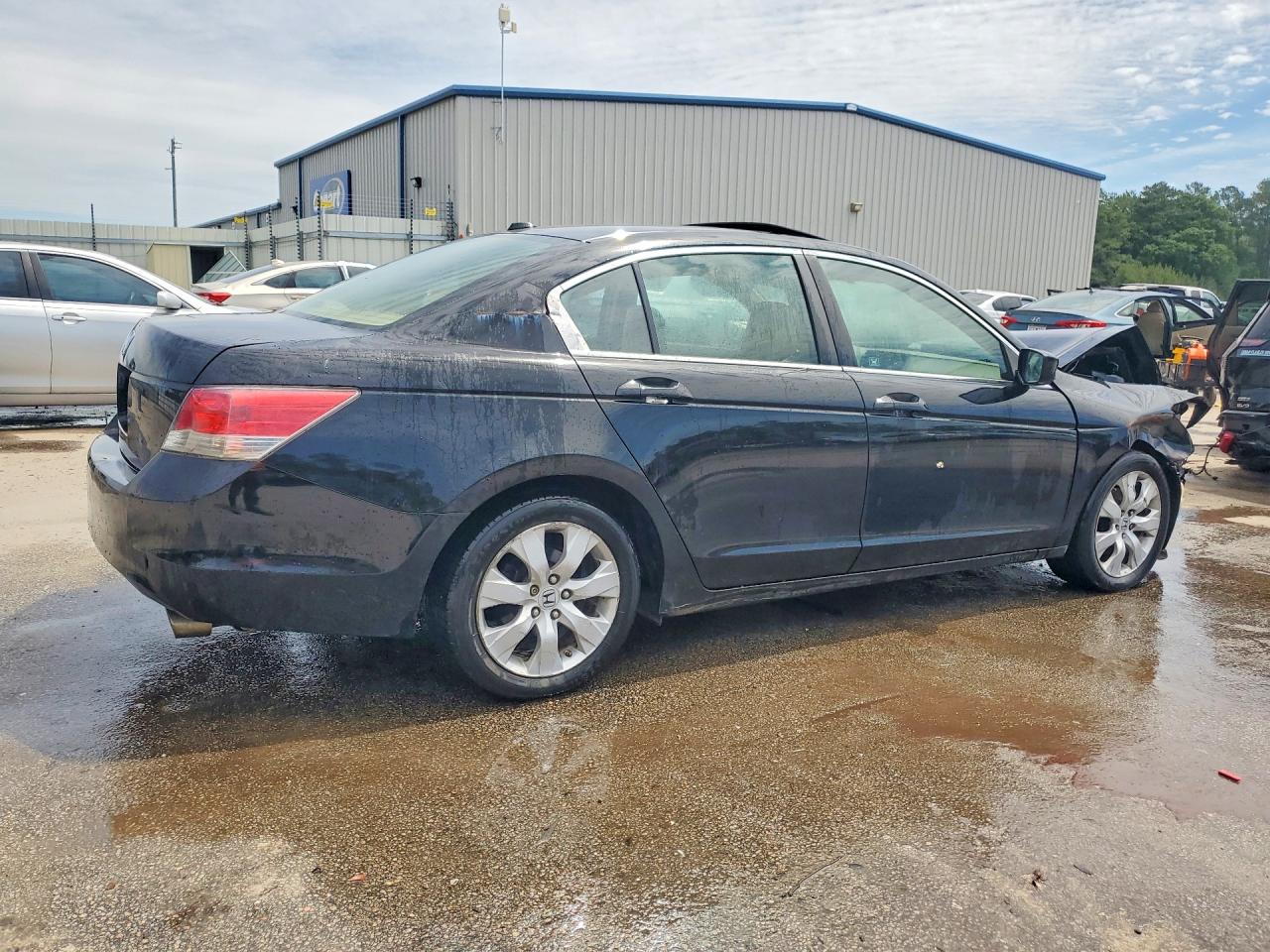 2009 Honda Accord Exl Black vin: 1HGCP26839A162022