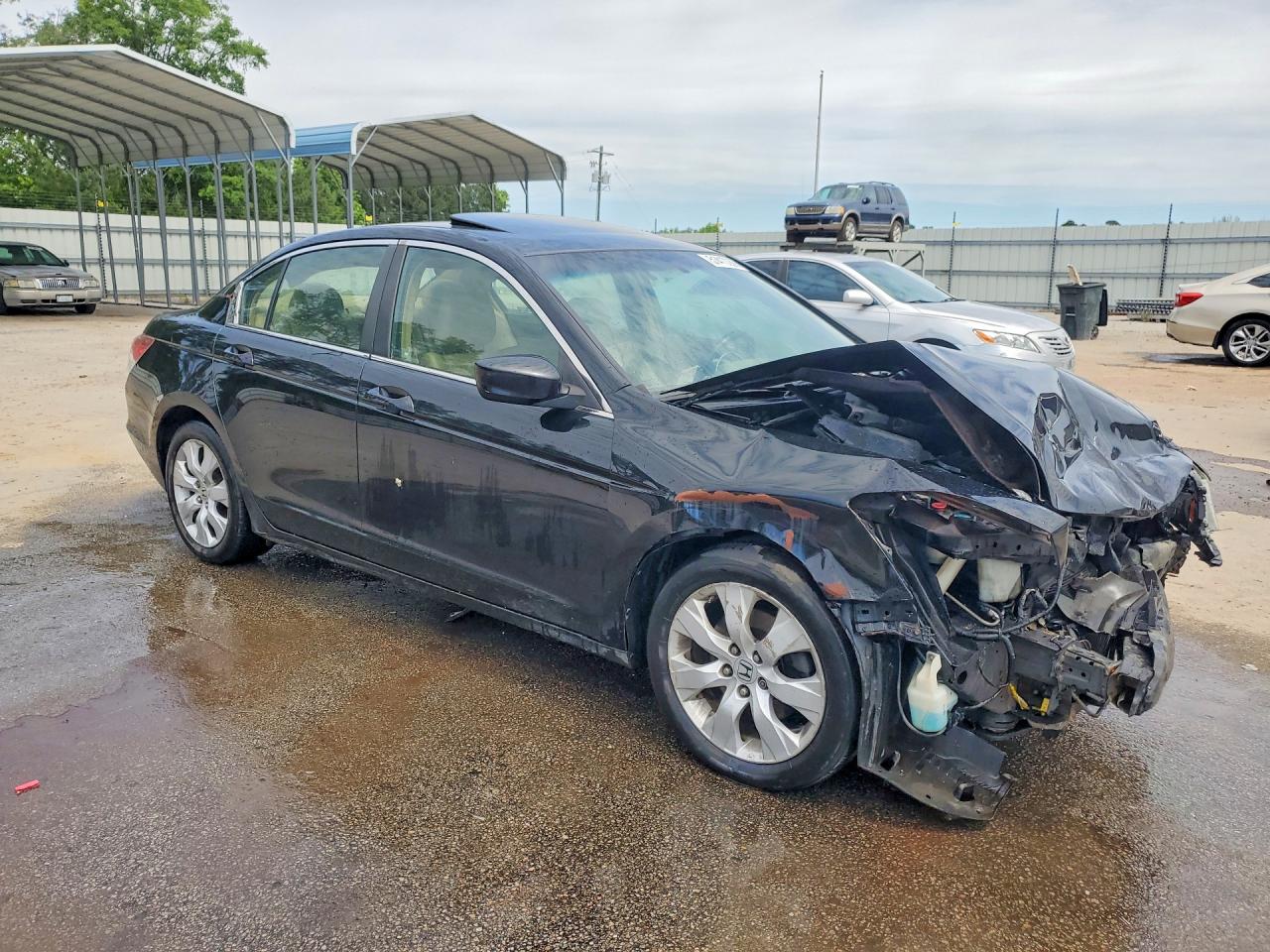 2009 Honda Accord Exl Black vin: 1HGCP26839A162022