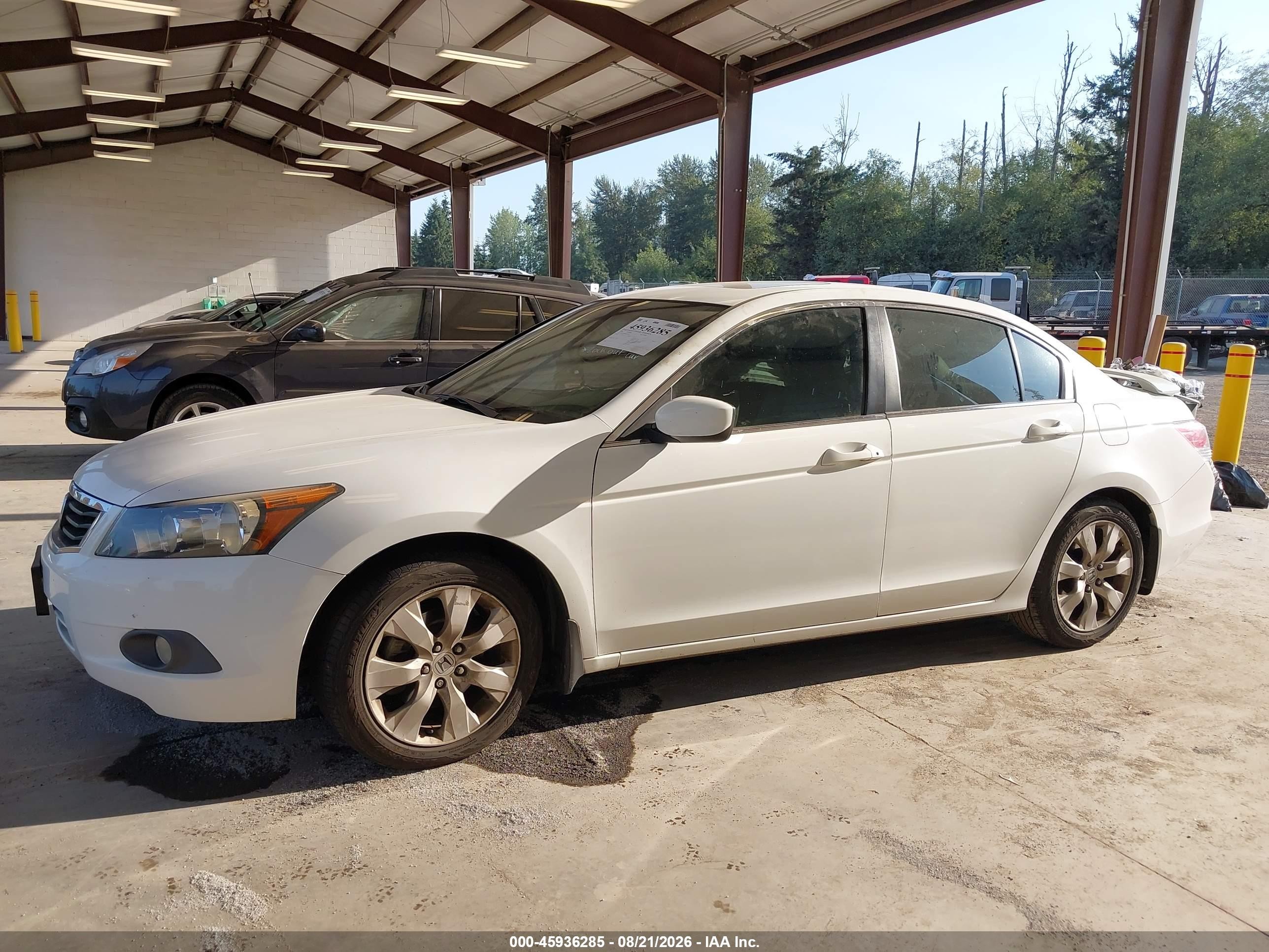 2008 Honda Accord 2.4 Ex-l White vin: 1HGCP26848A001452