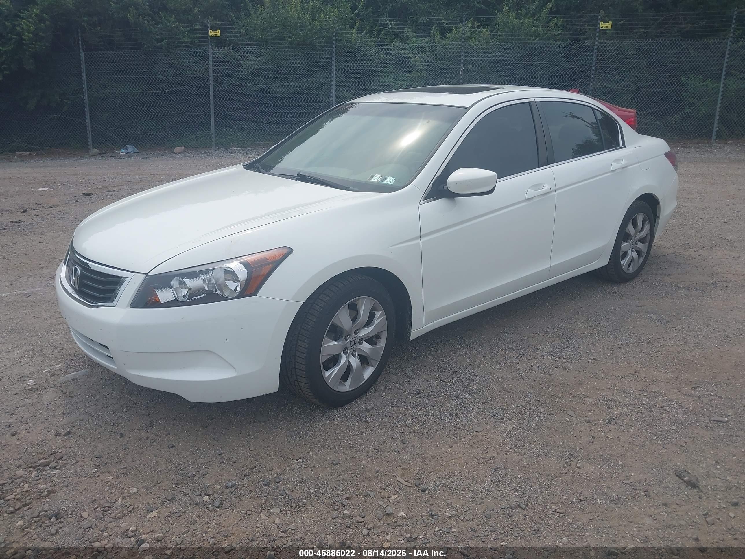2008 Honda Accord 2.4 Ex-l White vin: 1HGCP26848A044348