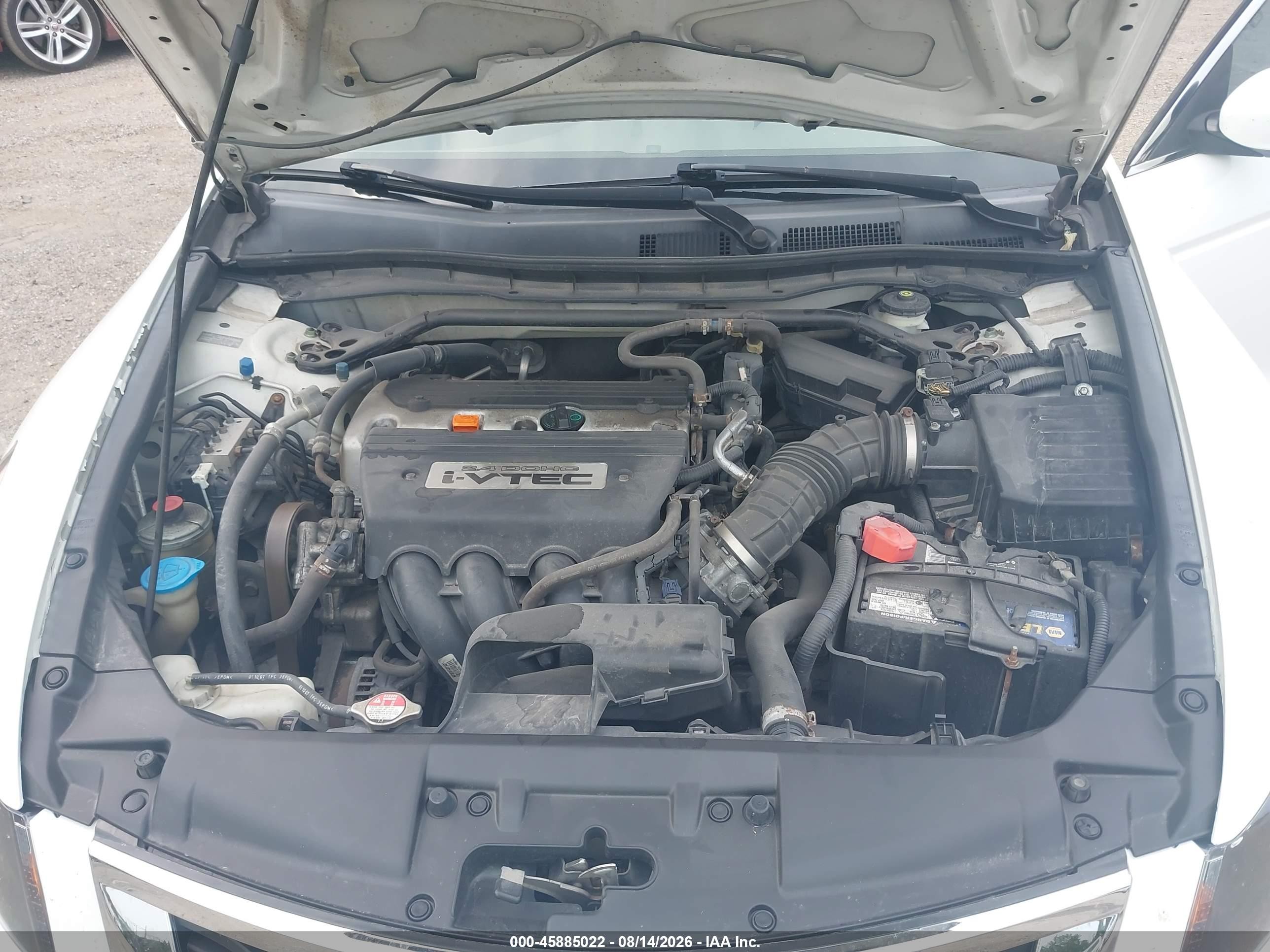 2008 Honda Accord 2.4 Ex-l White vin: 1HGCP26848A044348