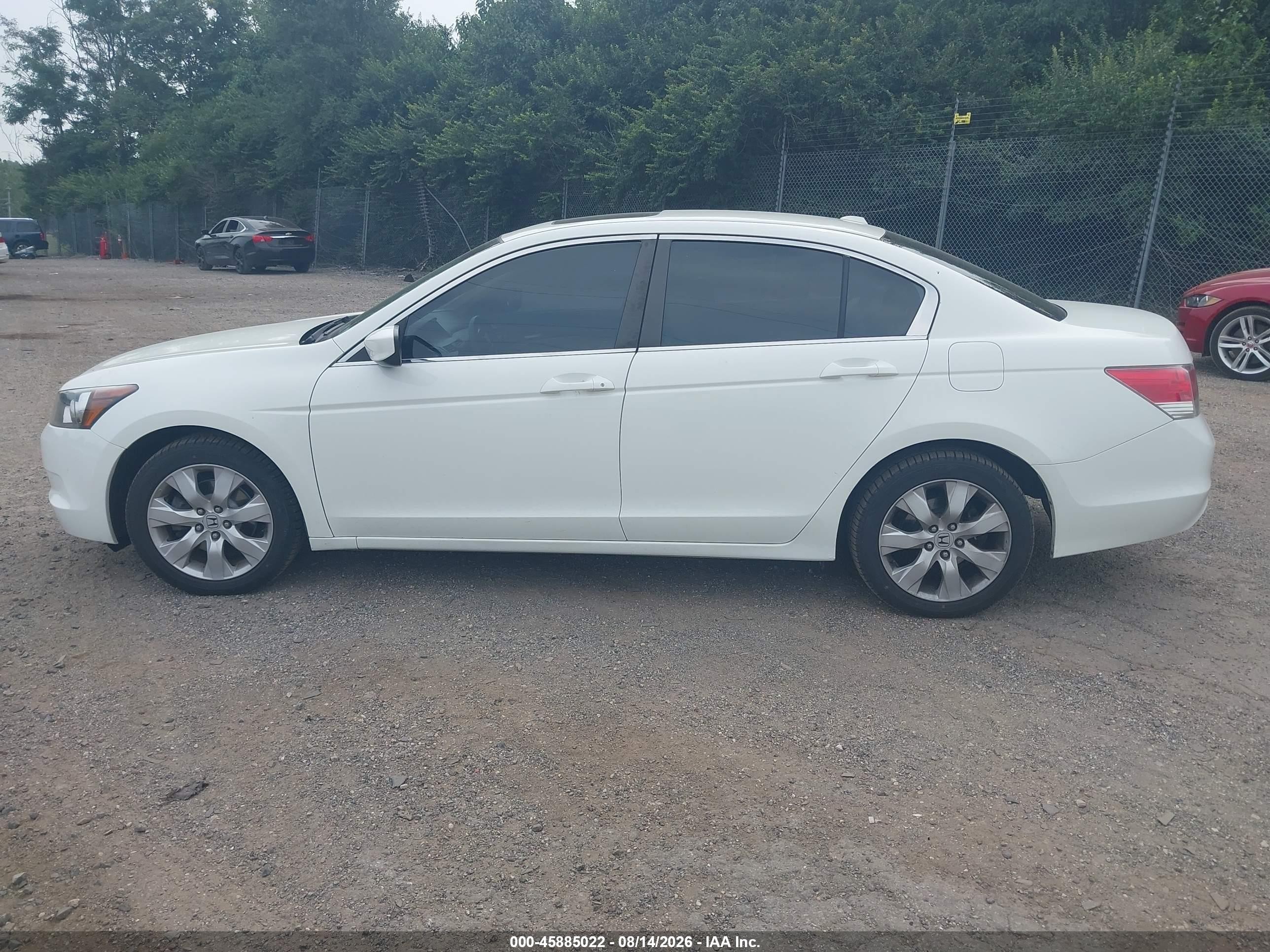2008 Honda Accord 2.4 Ex-l White vin: 1HGCP26848A044348