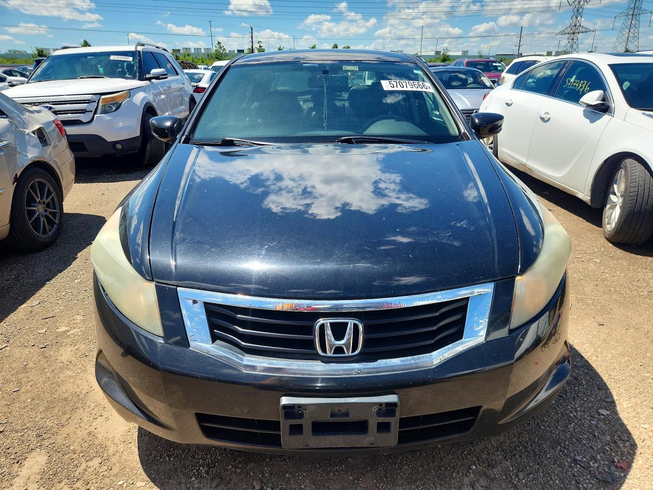 2009 Honda Accord Exl Black vin: 1HGCP26849A050894
