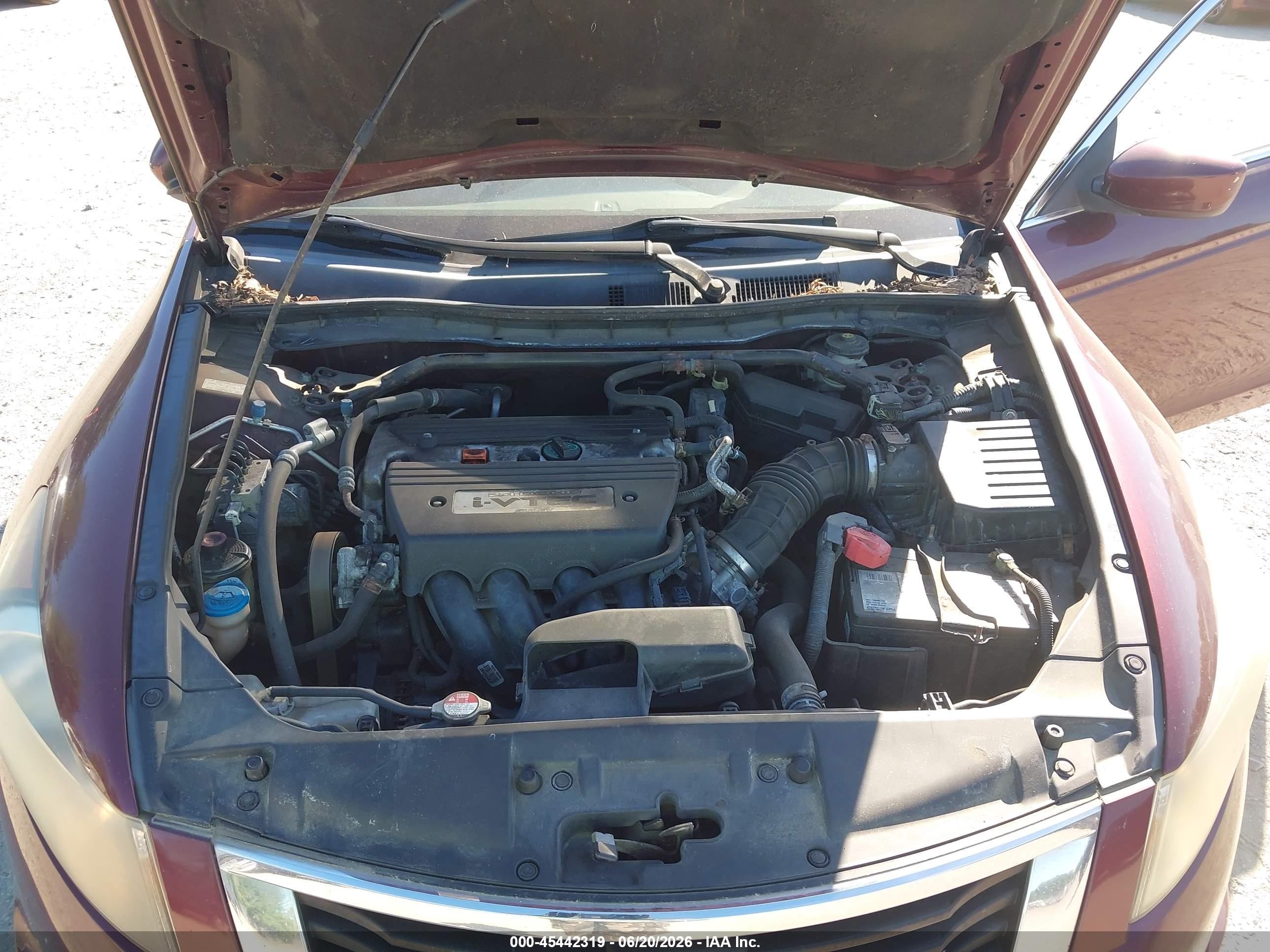 2009 Honda Accord 2.4 Ex-l Темно-бордовый vin: 1HGCP26849A073852