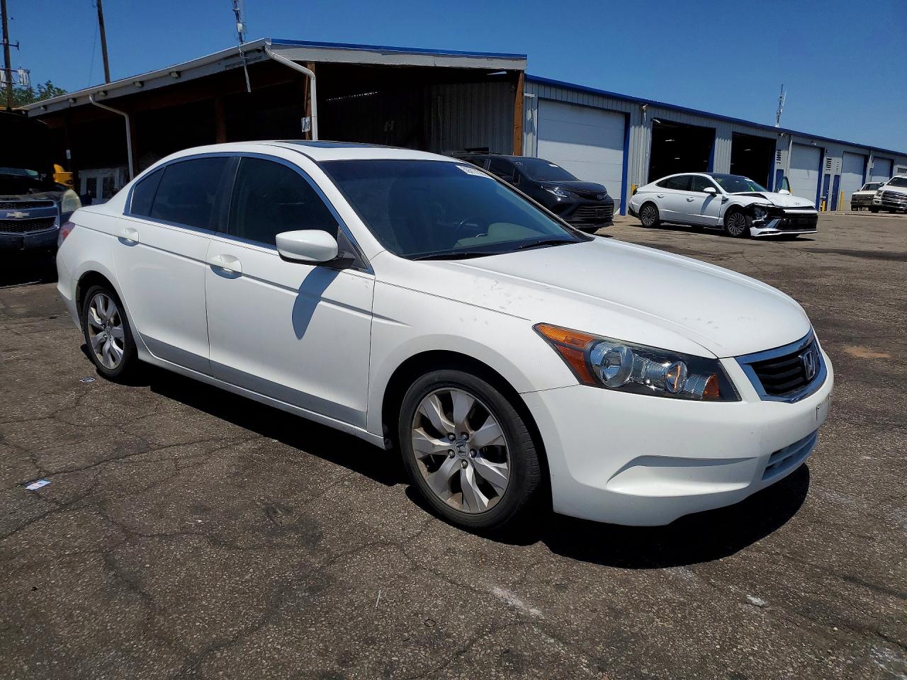 2009 Honda Accord Exl White vin: 1HGCP26849A094202