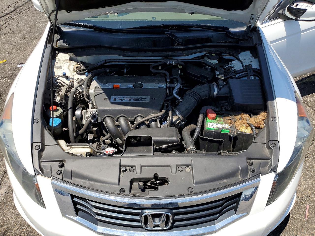 2009 Honda Accord Exl White vin: 1HGCP26849A094202