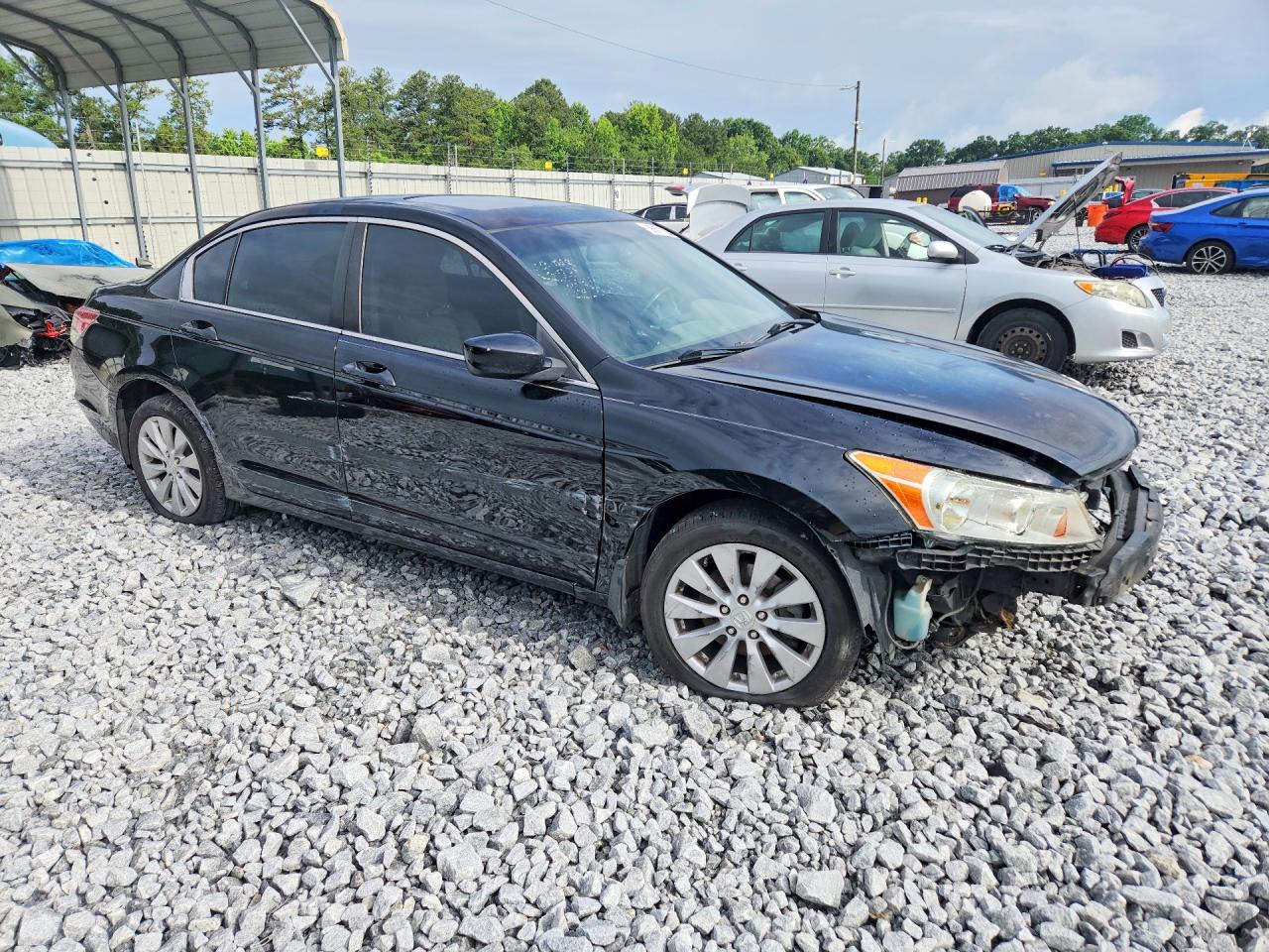 2009 Honda Accord Exl Black vin: 1HGCP26849A149778