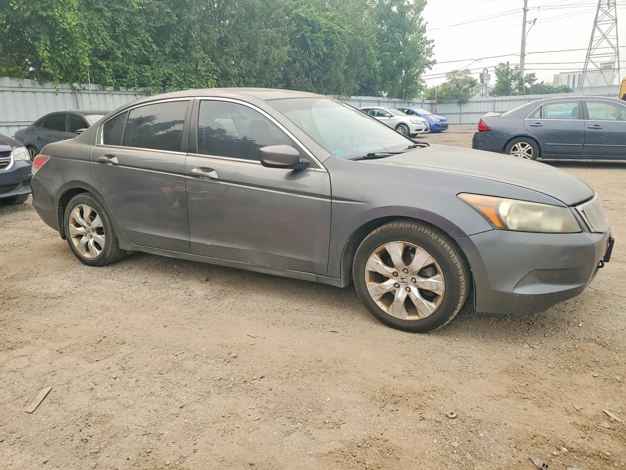 2009 Honda Accord Exl Gray vin: 1HGCP26849A808605