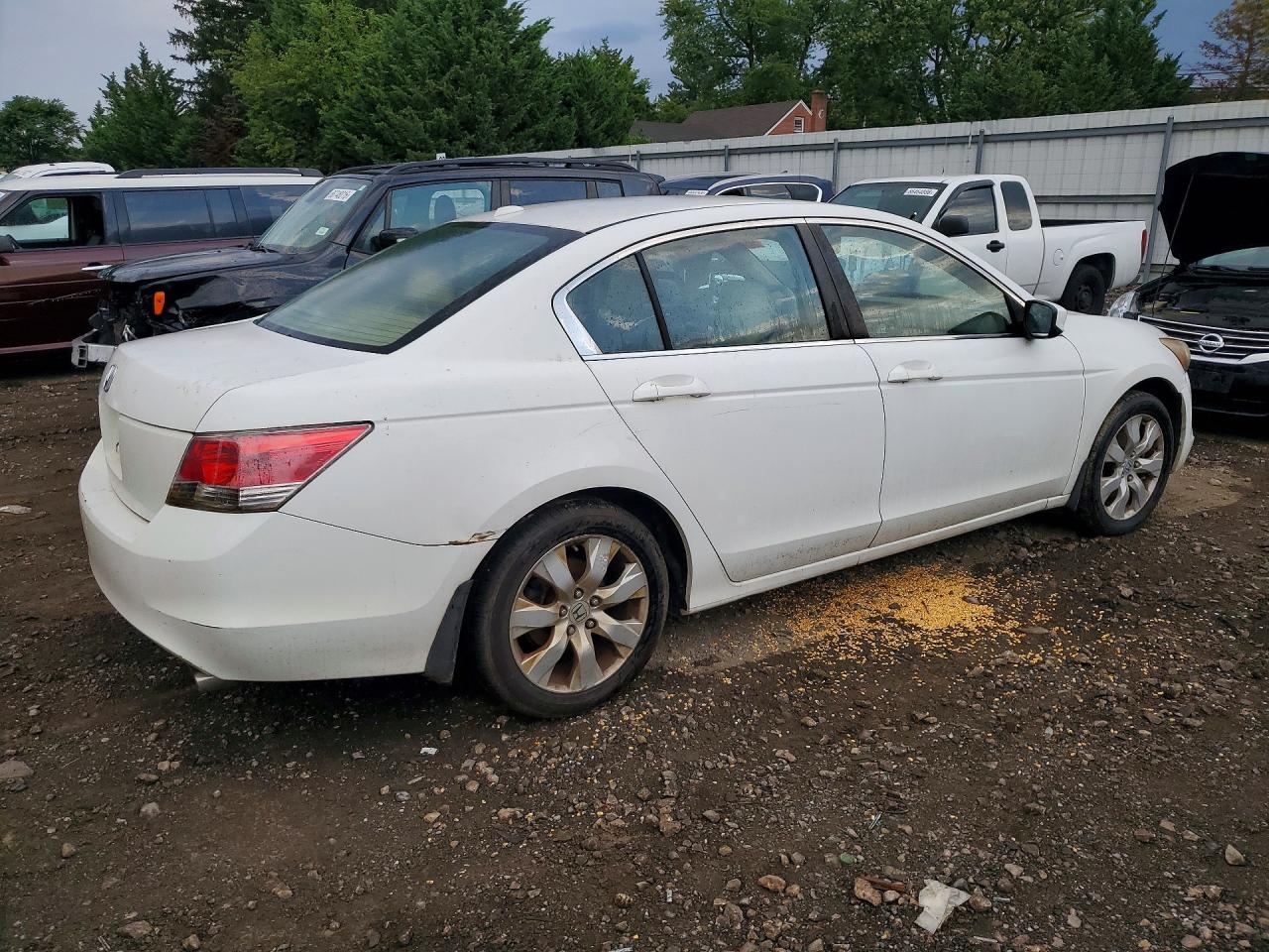 2008 Honda Accord Exl White vin: 1HGCP26858A030359