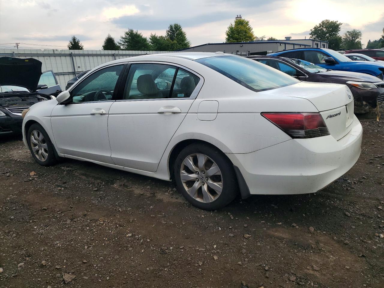 2008 Honda Accord Exl White vin: 1HGCP26858A030359