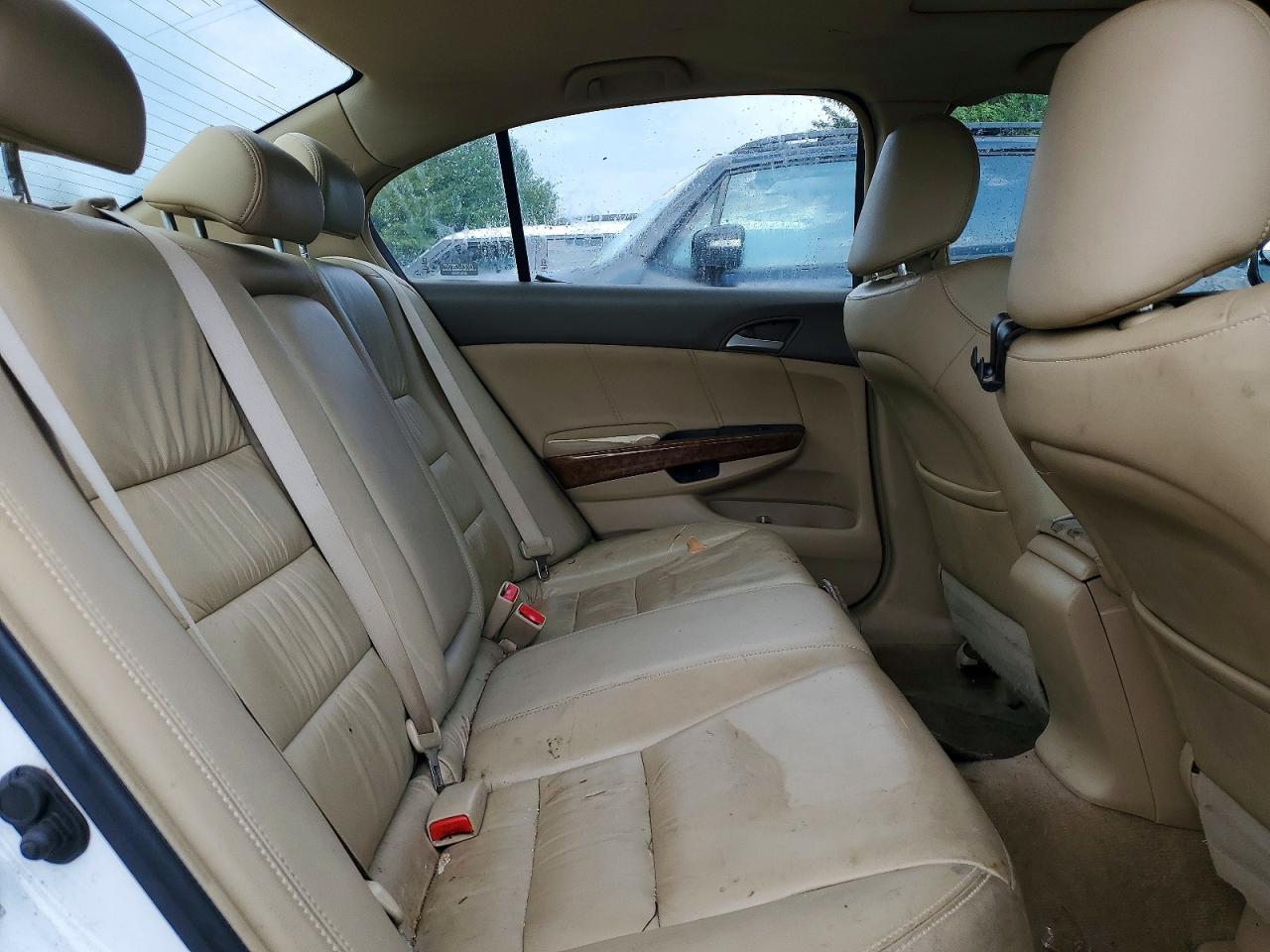 2008 Honda Accord Exl White vin: 1HGCP26858A030359