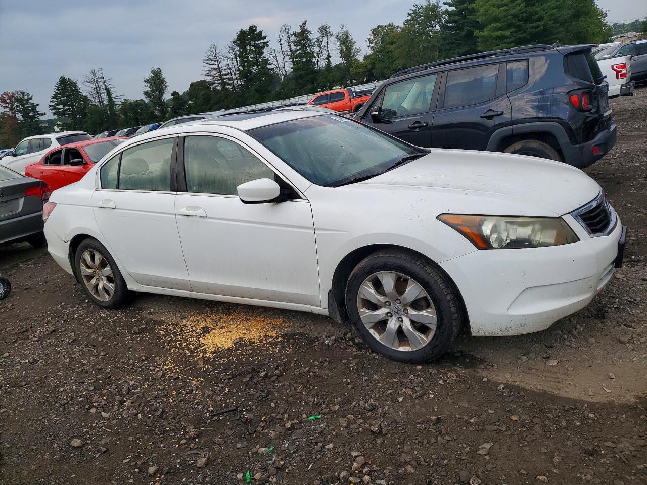 2008 Honda Accord Exl White vin: 1HGCP26858A030359