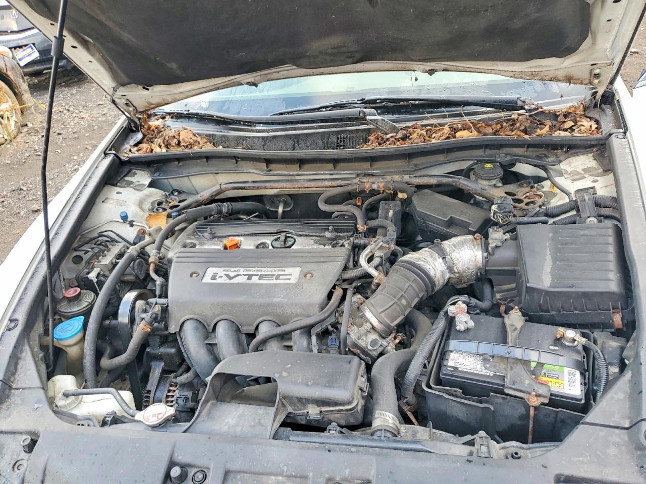 2008 Honda Accord Exl White vin: 1HGCP26858A030359
