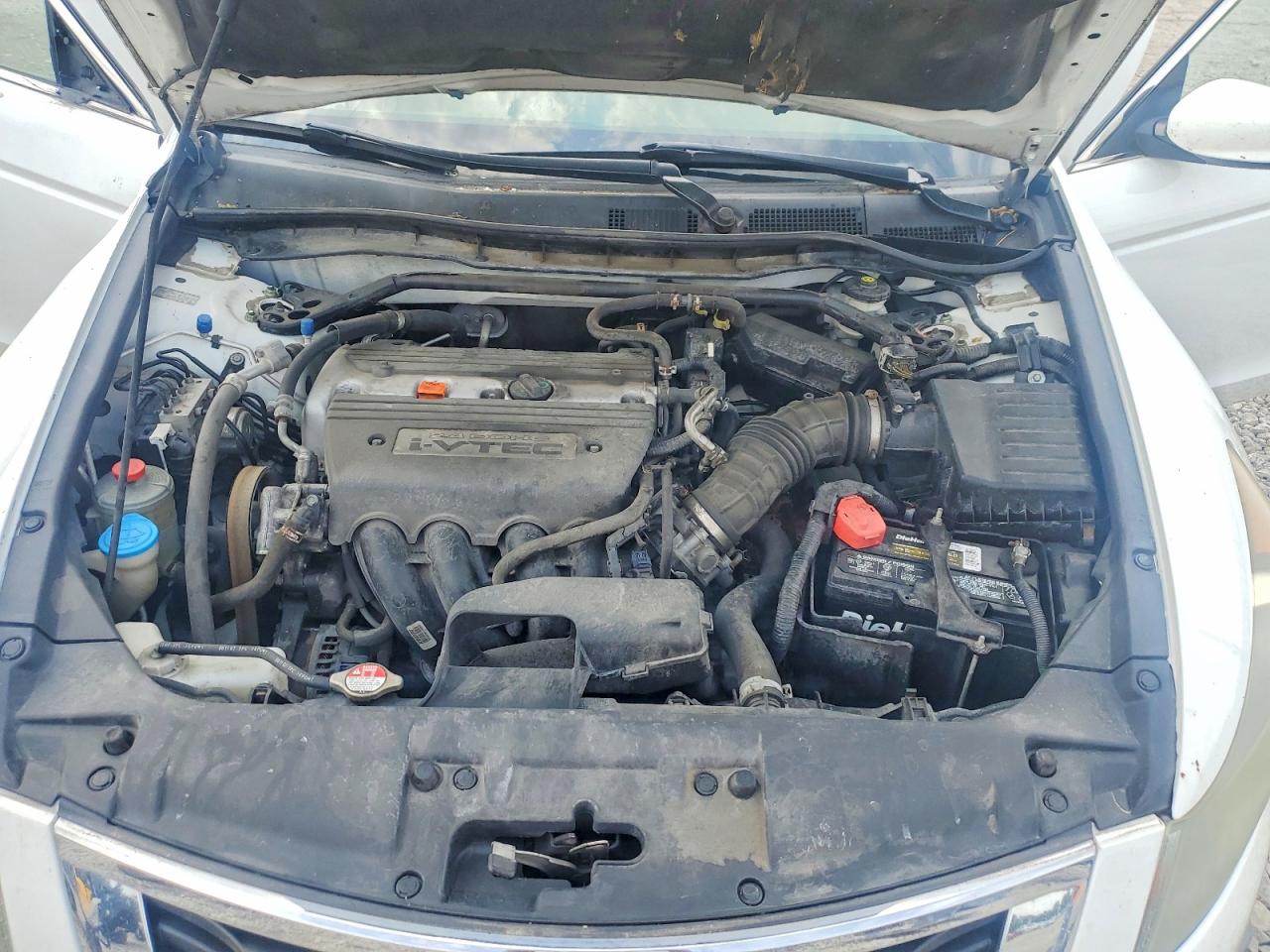 2008 Honda Accord Exl Белый vin: 1HGCP26858A072806