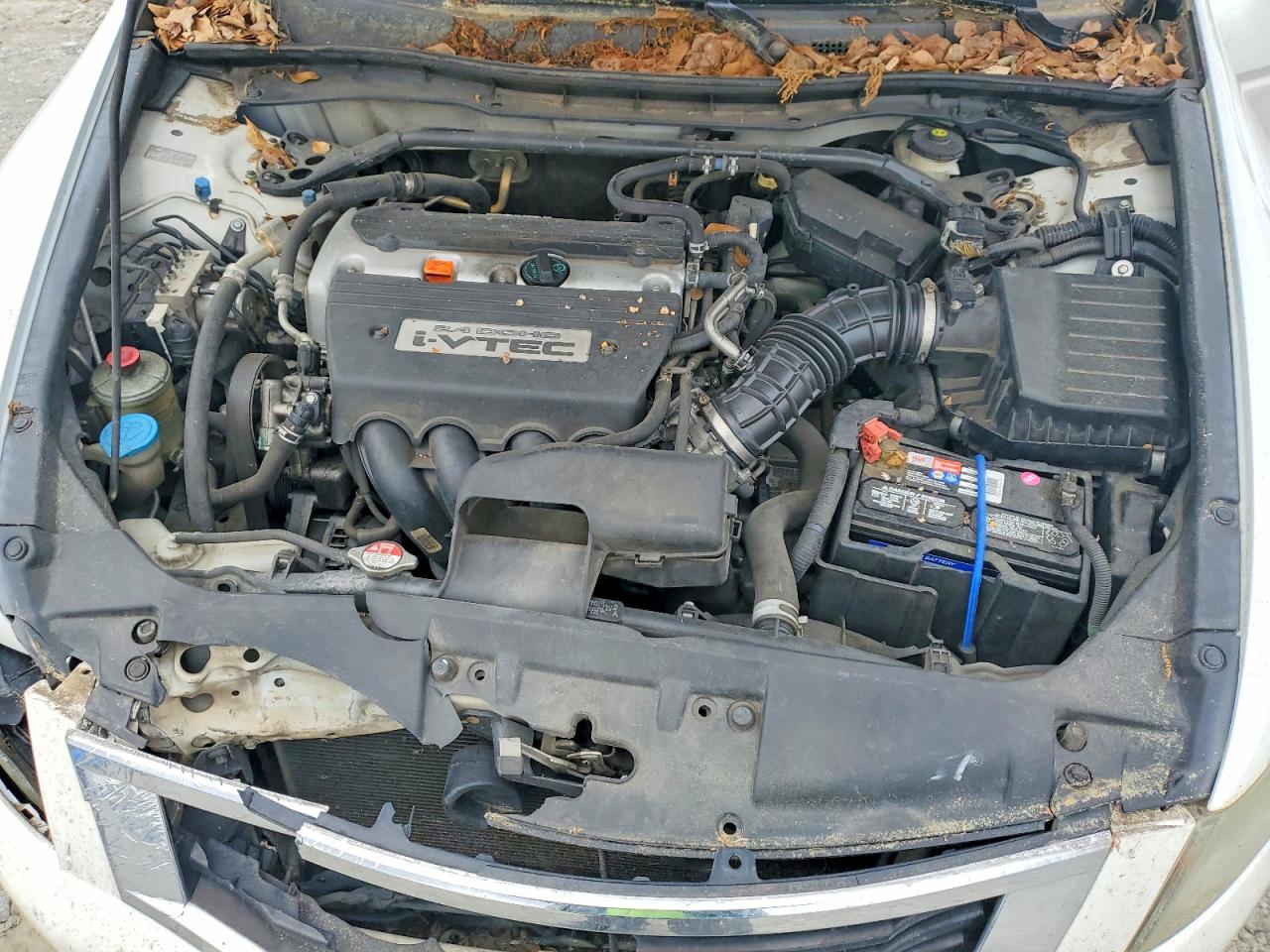 2008 Honda Accord Exl White vin: 1HGCP26858A103021
