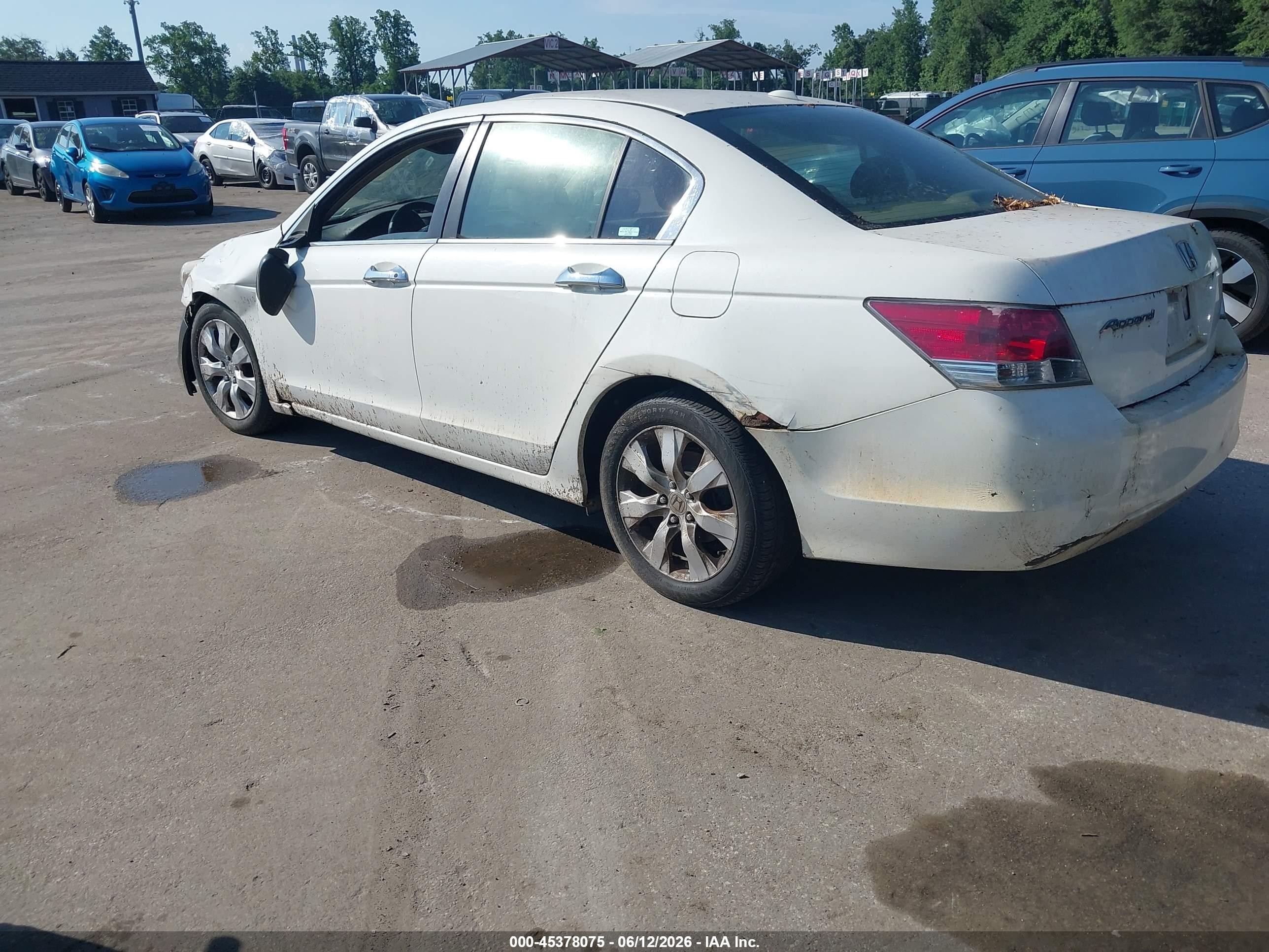 2008 Honda Accord 2.4 Ex-l White vin: 1HGCP26858A145172