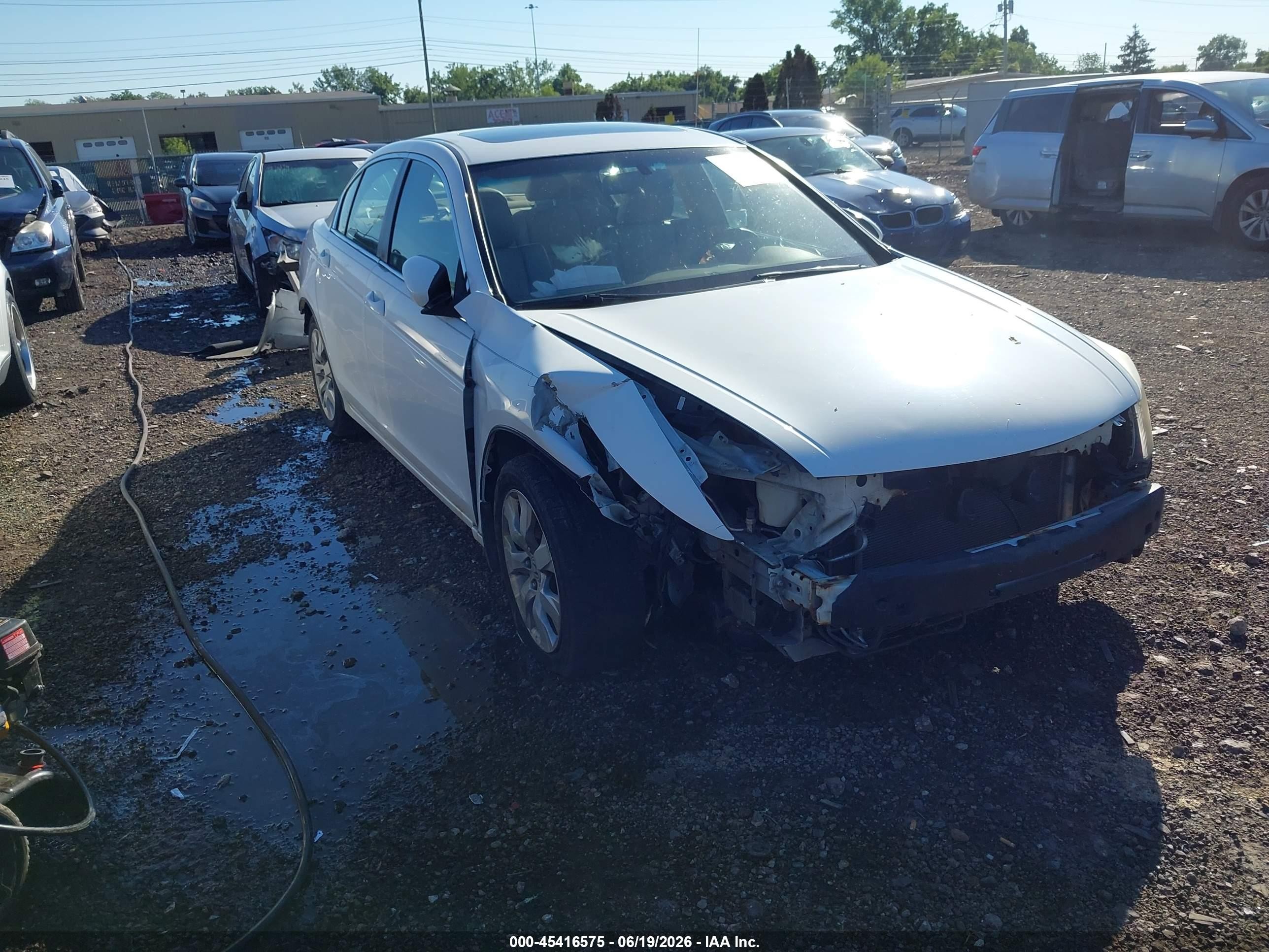 2009 Honda Accord 2.4 Ex-l White vin: 1HGCP26859A035613