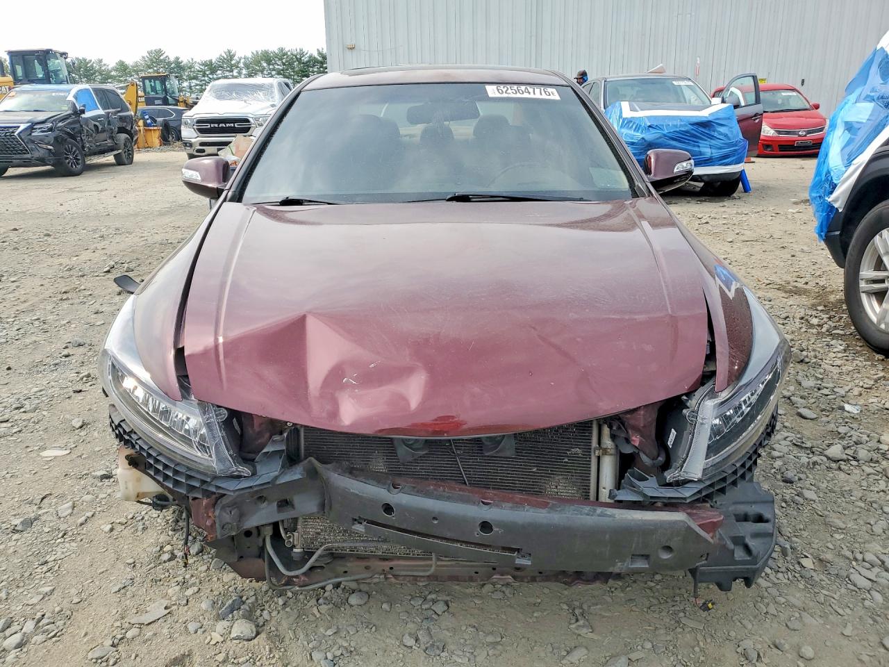 2009 Honda Accord Exl Burgundy vin: 1HGCP26859A143505