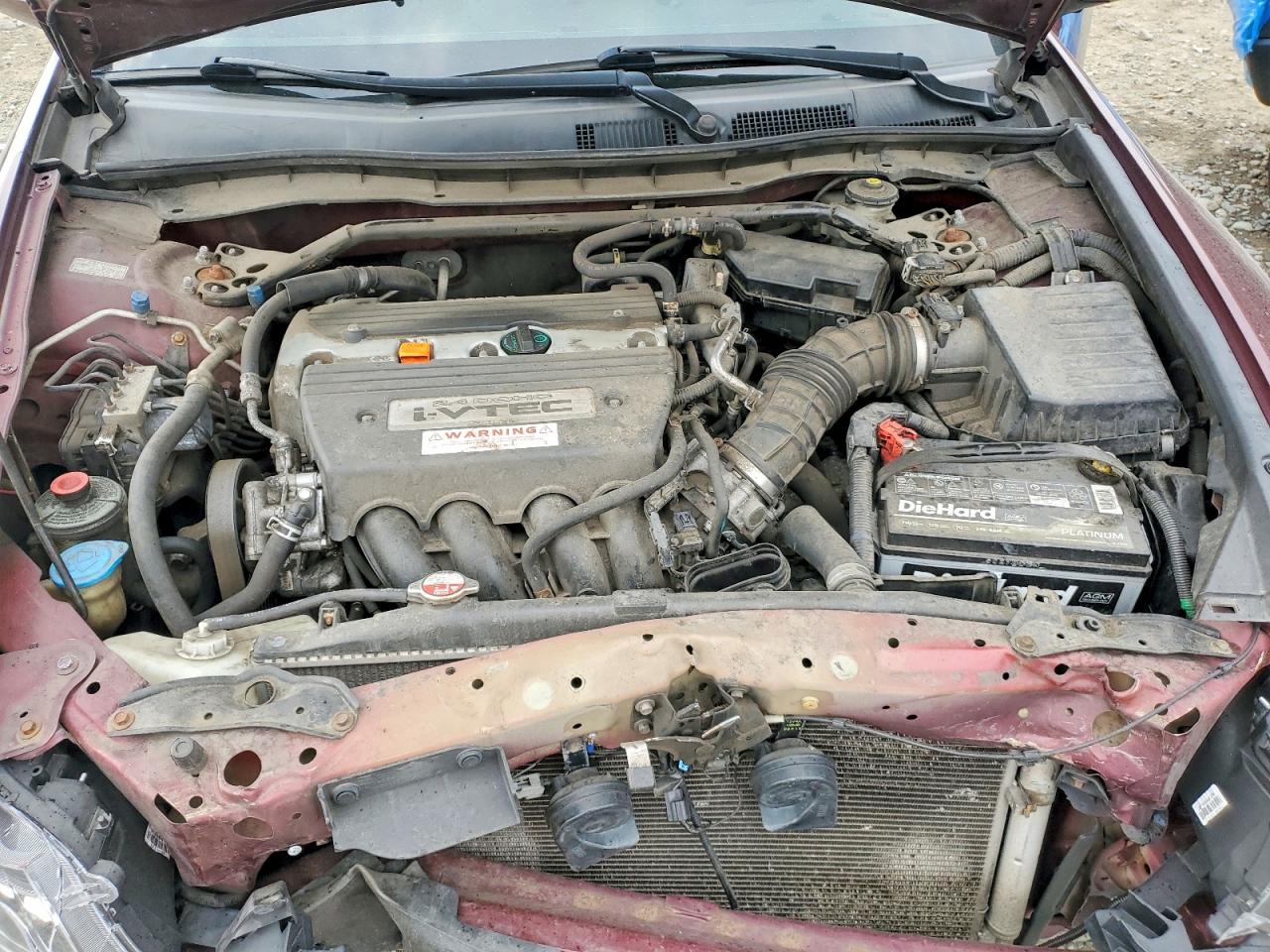 2009 Honda Accord Exl Burgundy vin: 1HGCP26859A143505