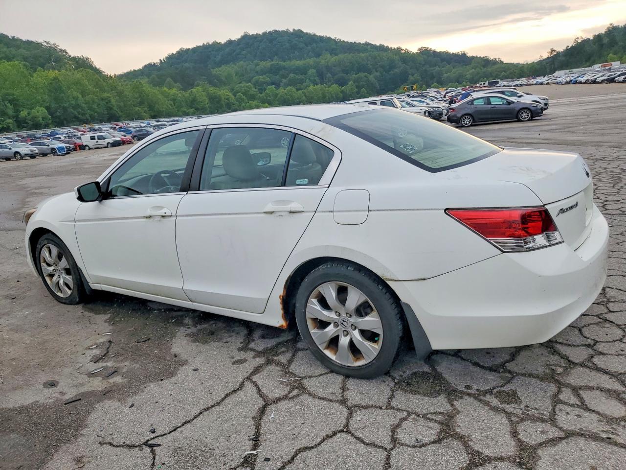 2008 Honda Accord Белый vin: 1HGCP26868A083541