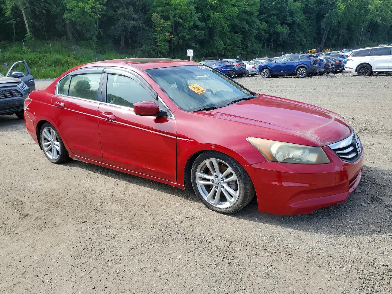 2009 Honda Accord Exl Red vin: 1HGCP26869A003561