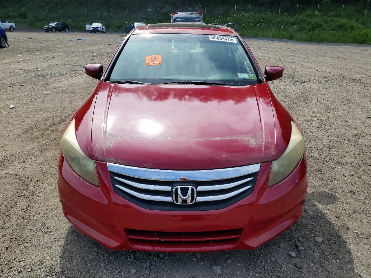 2009 Honda Accord Exl Red vin: 1HGCP26869A003561