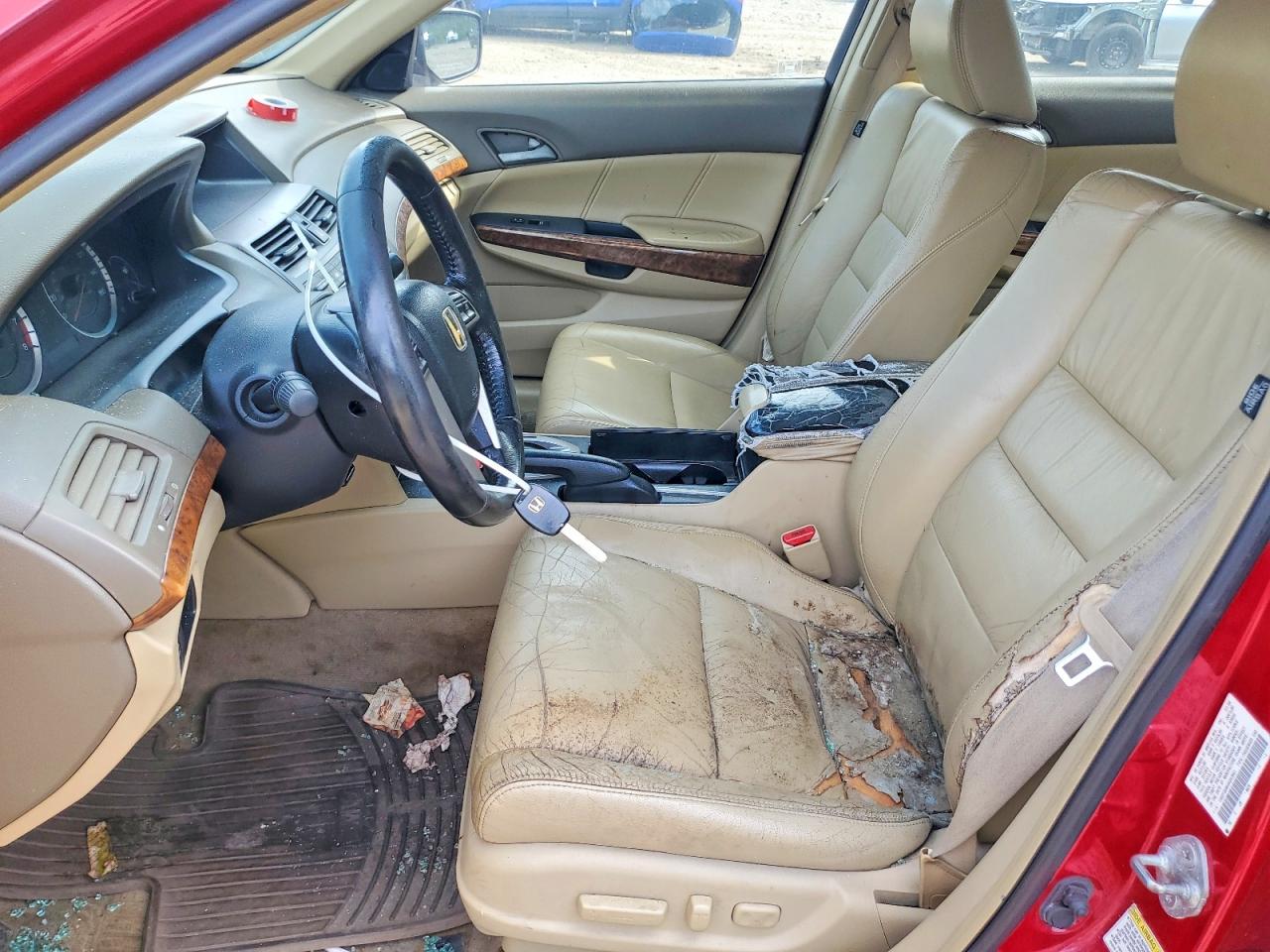 2009 Honda Accord Exl Red vin: 1HGCP26869A003561