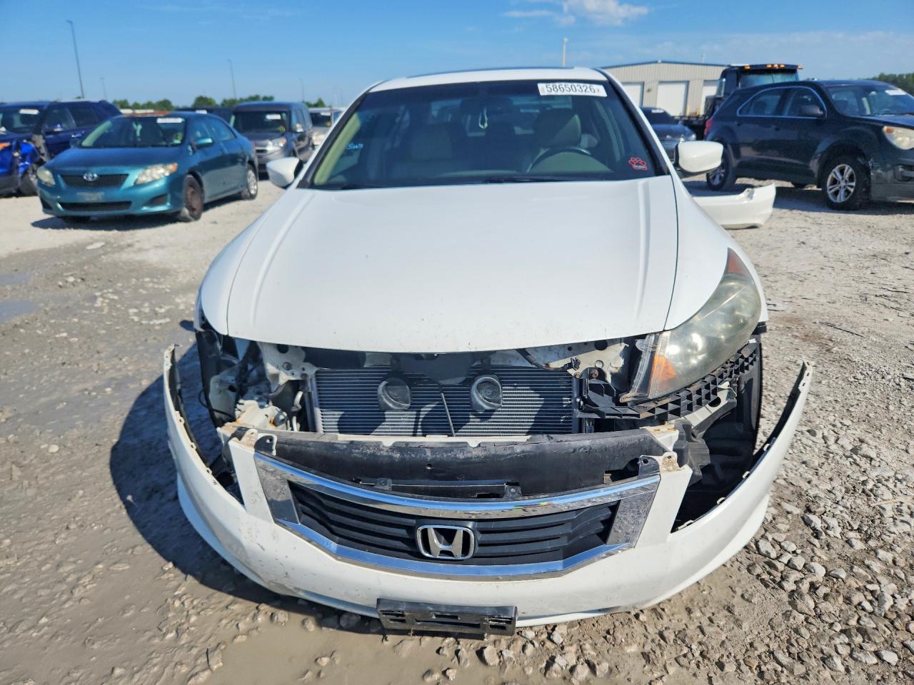 2009 Honda Accord Exl White vin: 1HGCP26869A033174
