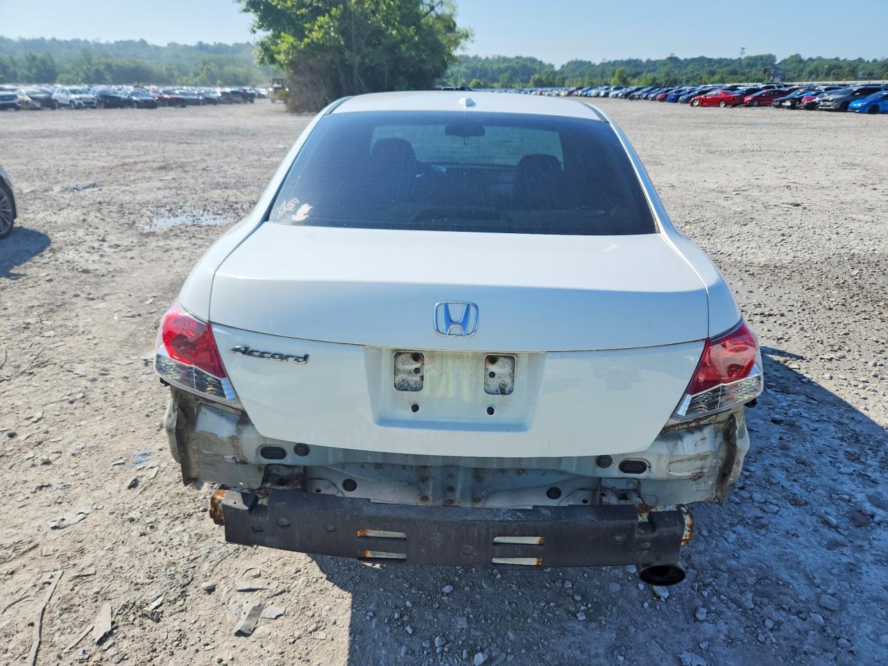 2009 Honda Accord Exl White vin: 1HGCP26869A033174
