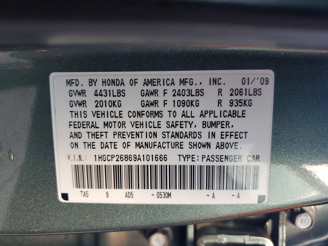 2009 Honda Accord Exl Green vin: 1HGCP26869A101666