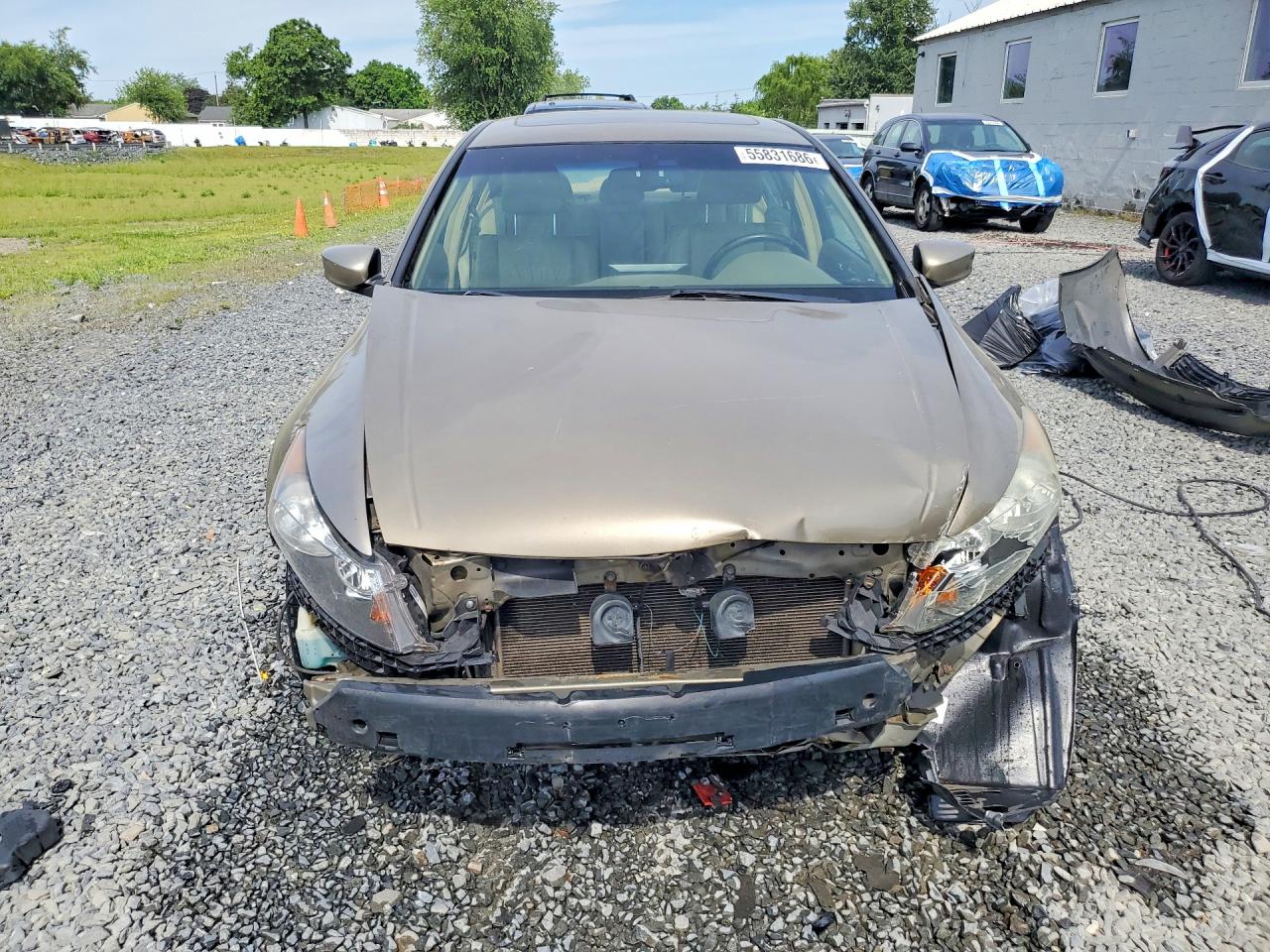 2009 Honda Accord Exl Tan vin: 1HGCP26869A135378