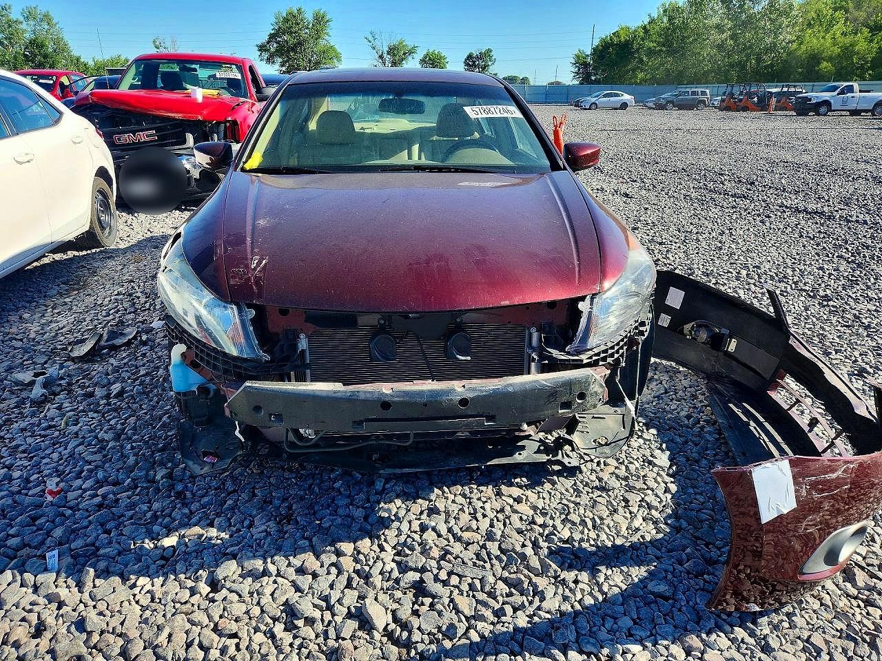 2008 Honda Accord Exl Burgundy vin: 1HGCP26878A054307