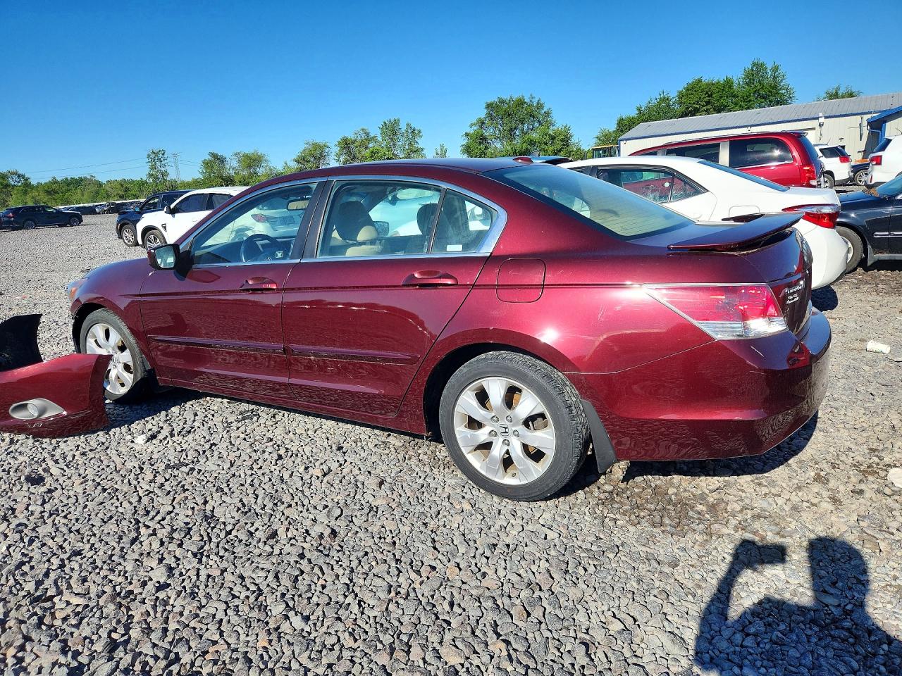 2008 Honda Accord Exl Burgundy vin: 1HGCP26878A054307